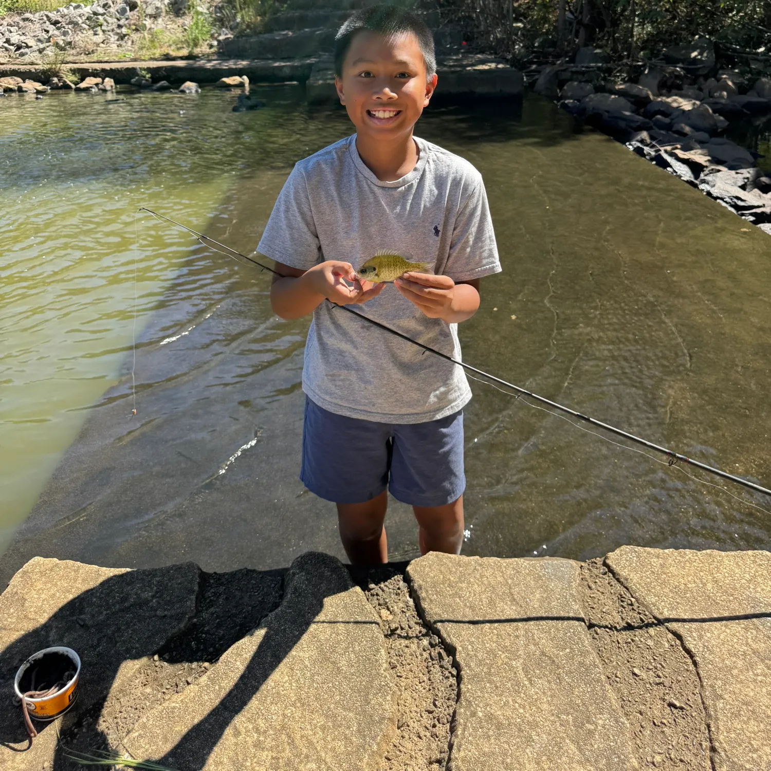Bluegill caught on Fishbrain