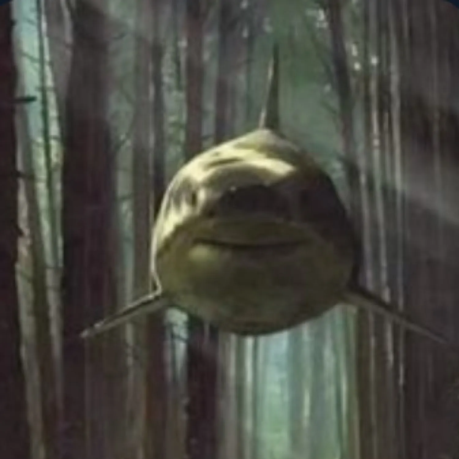most liked catch image
