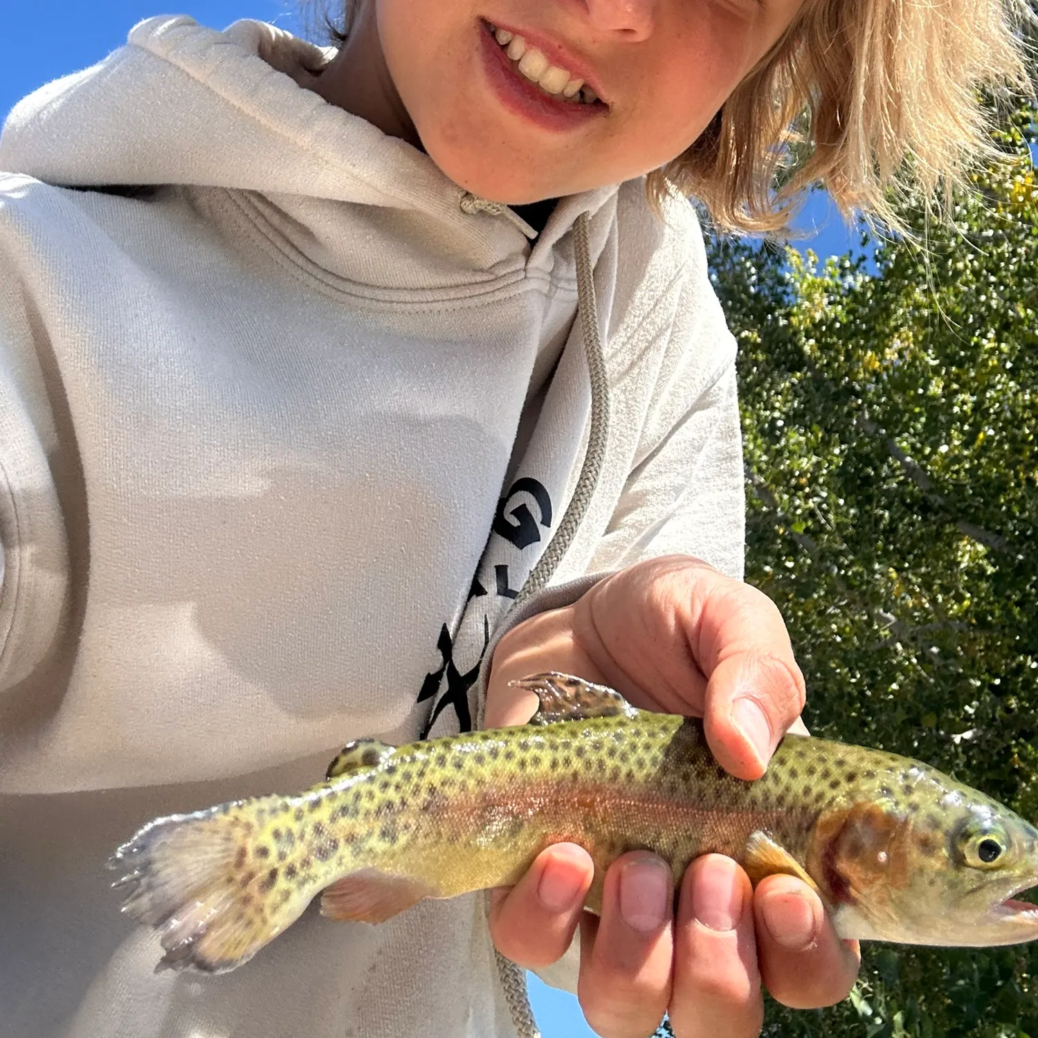 Rainbow trout caught on Fishbrain