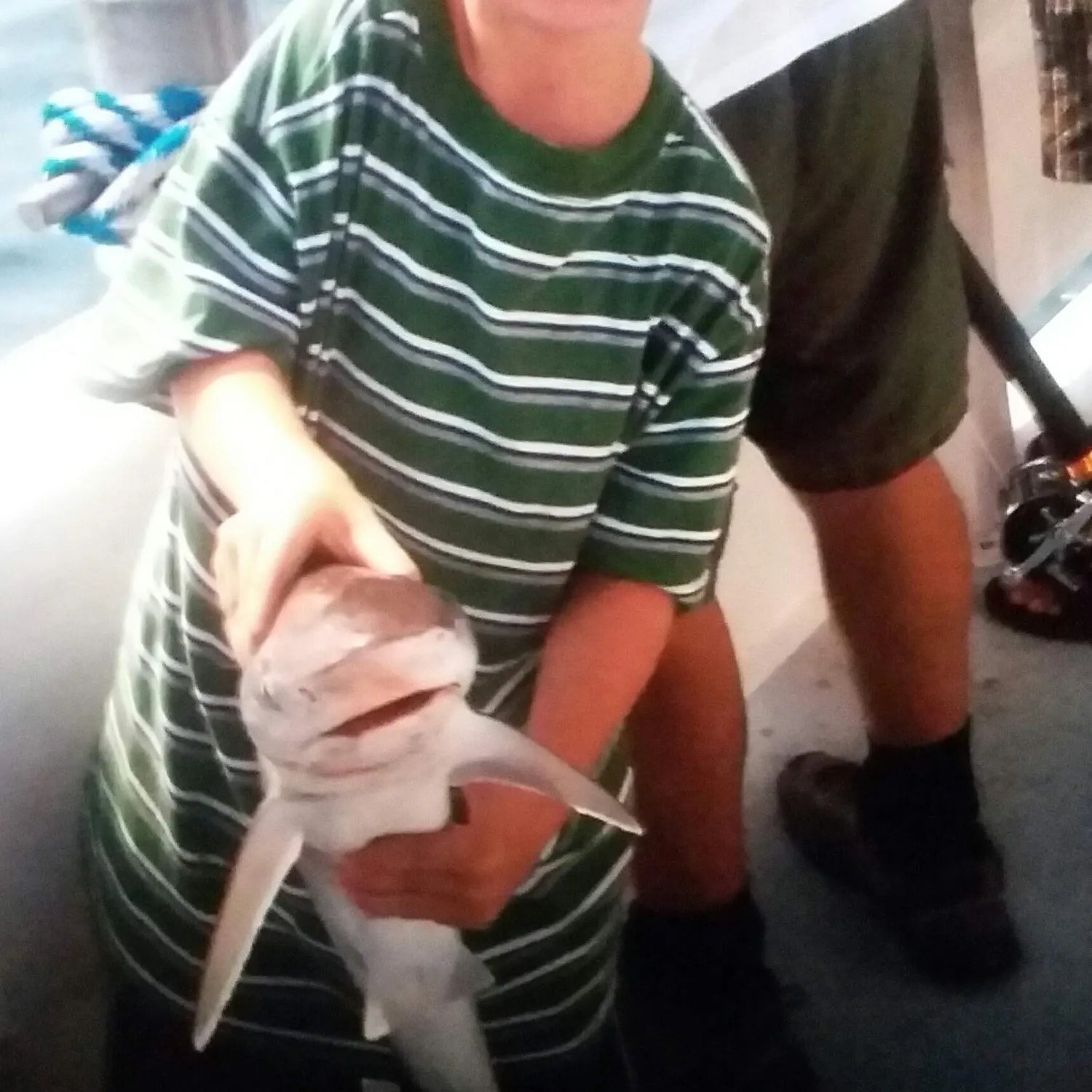 The most recent Oceanic whitetip shark catches on Fishbrain