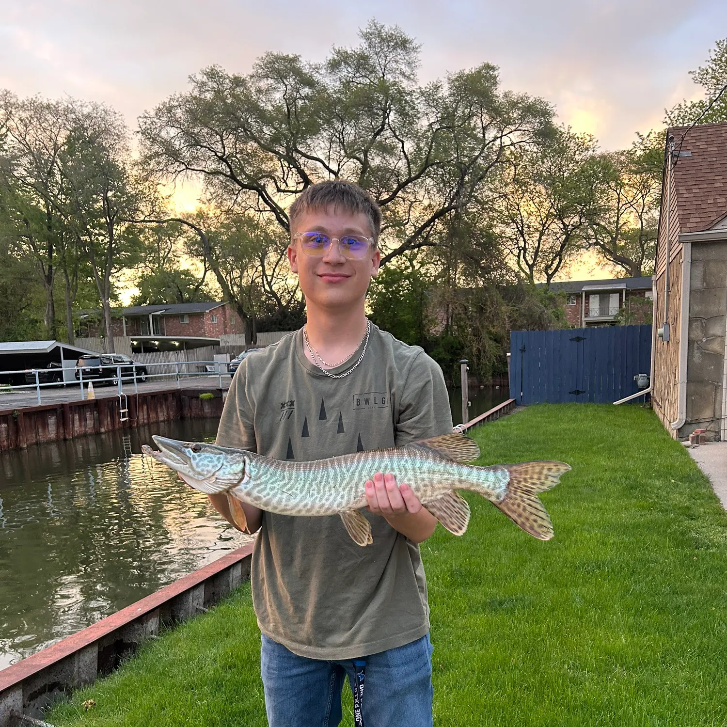 The most recent Tiger muskellunge catches on Fishbrain