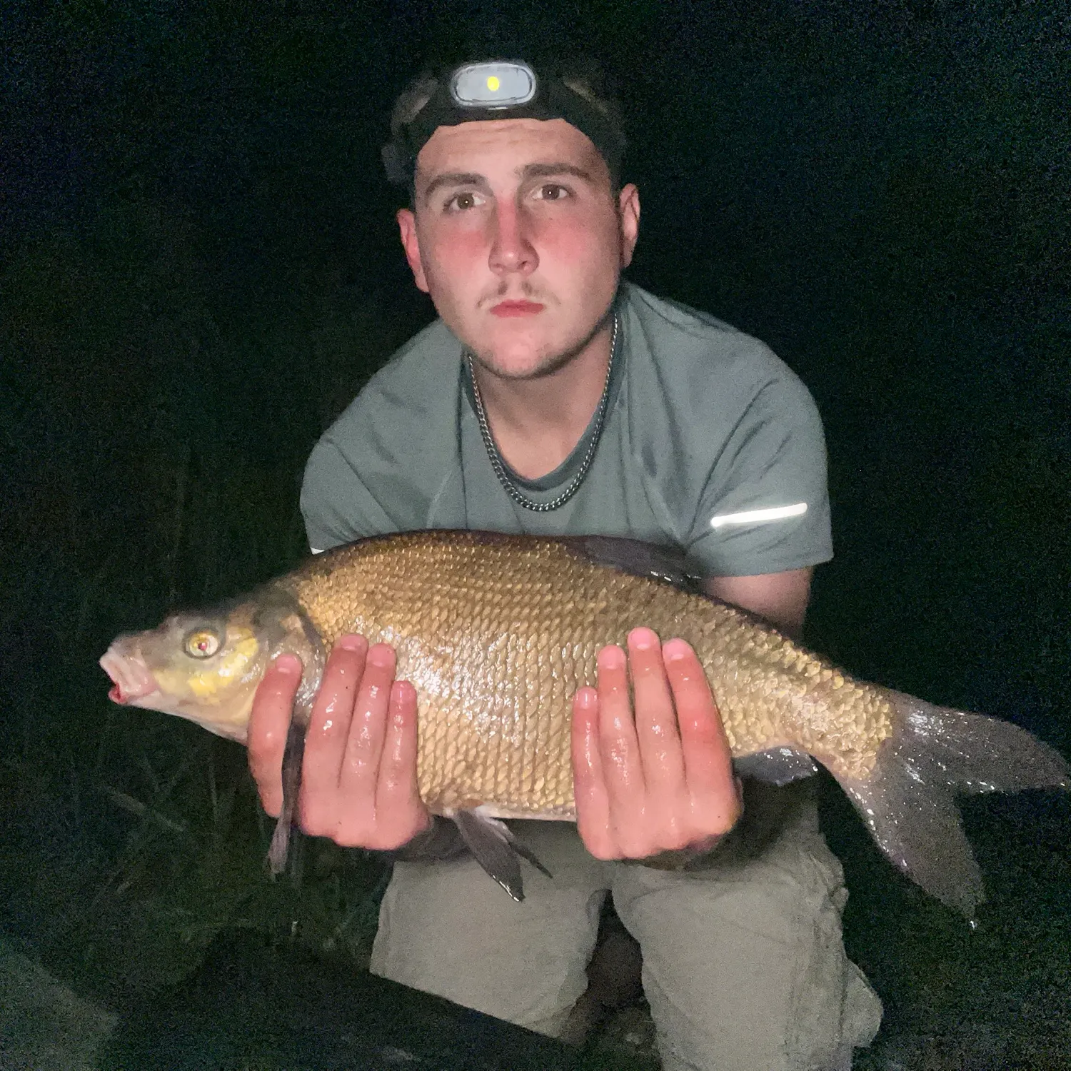Common bream caught on Fishbrain