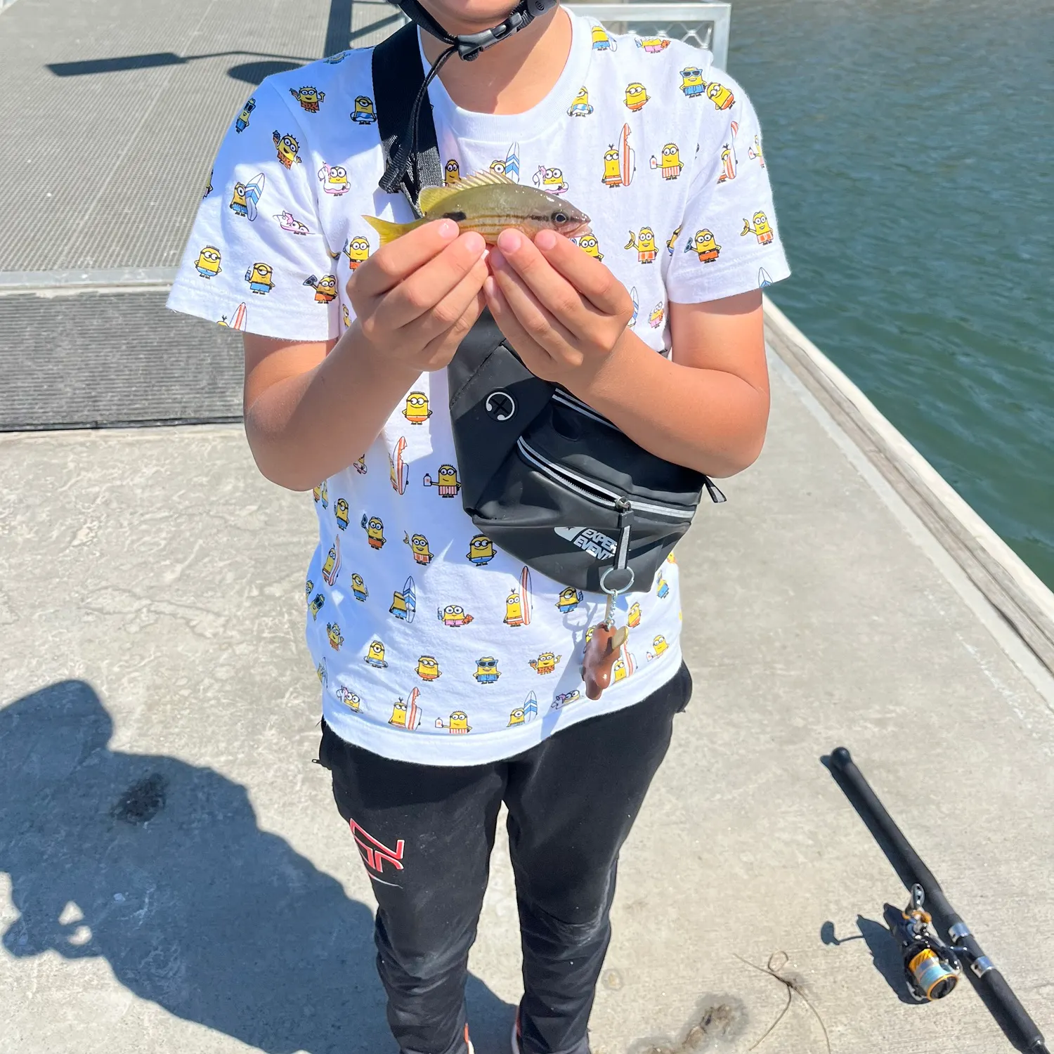 Moses perch caught on Fishbrain