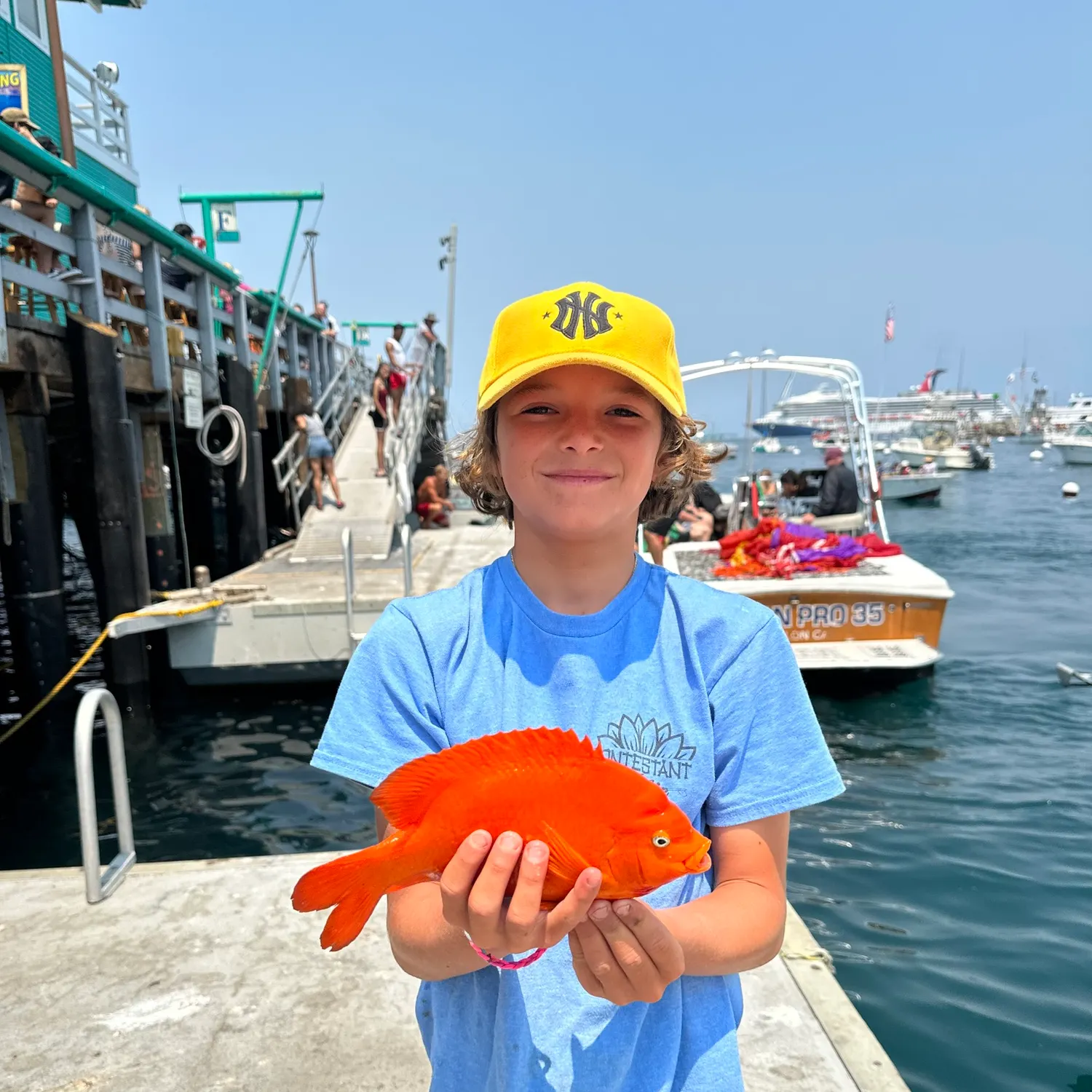 The most recent Garibaldi damselfish catches on Fishbrain