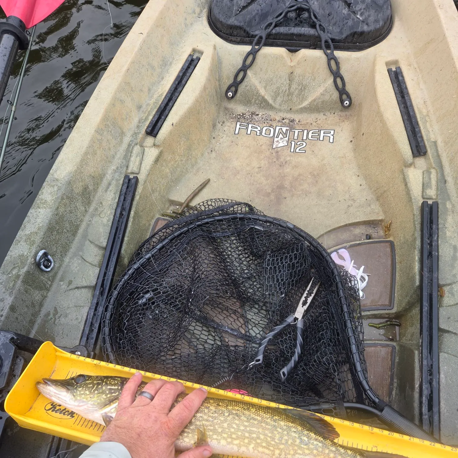 Northern pike caught on Fishbrain