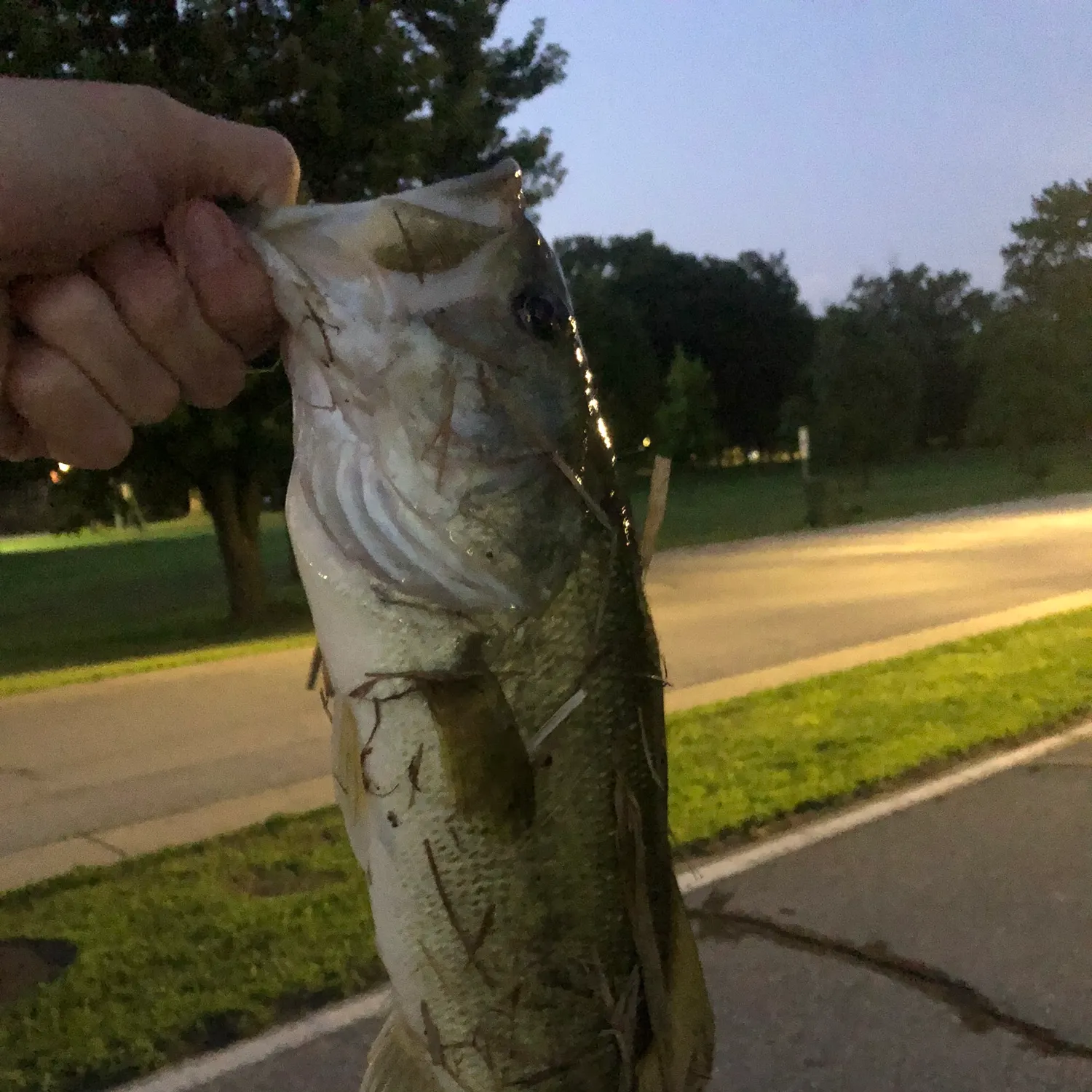 catch