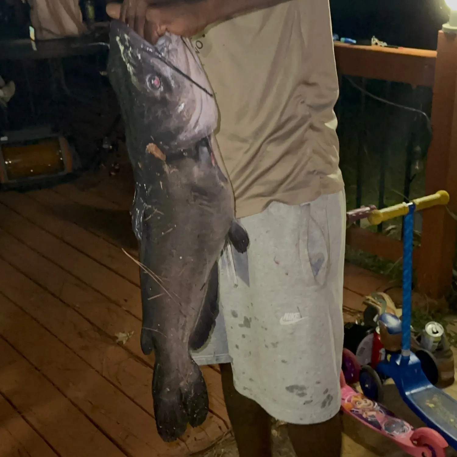 The most recent Blue catfish catches on Fishbrain