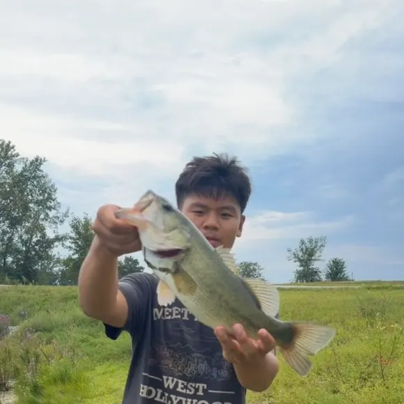 Largemouth bass caught on Fishbrain