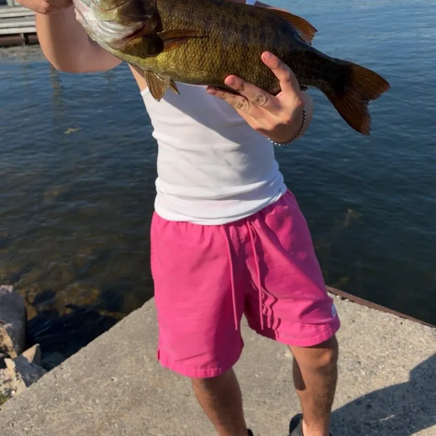 Smallmouth bass caught on Fishbrain
