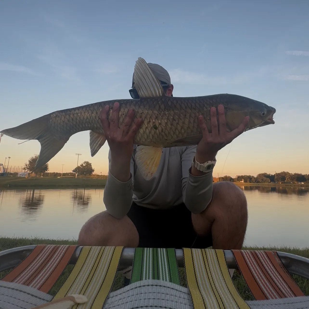 The most recent Grass carp catches on Fishbrain