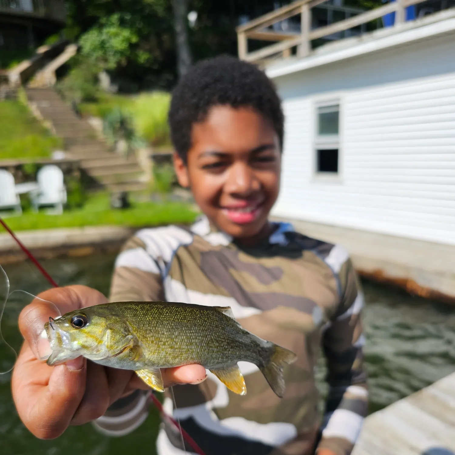 Smallmouth bass caught on Fishbrain
