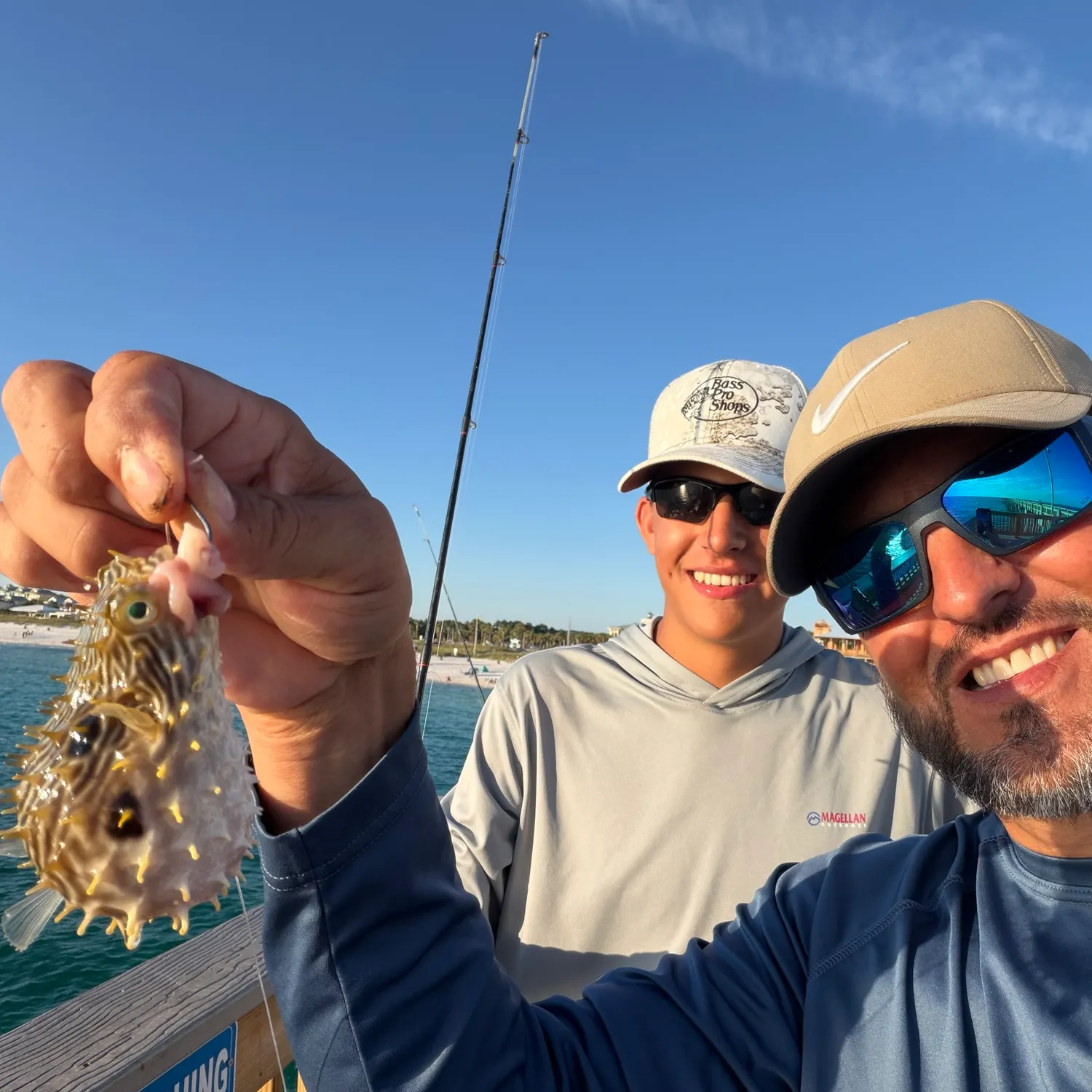 The most recent Striped burrfish catches on Fishbrain