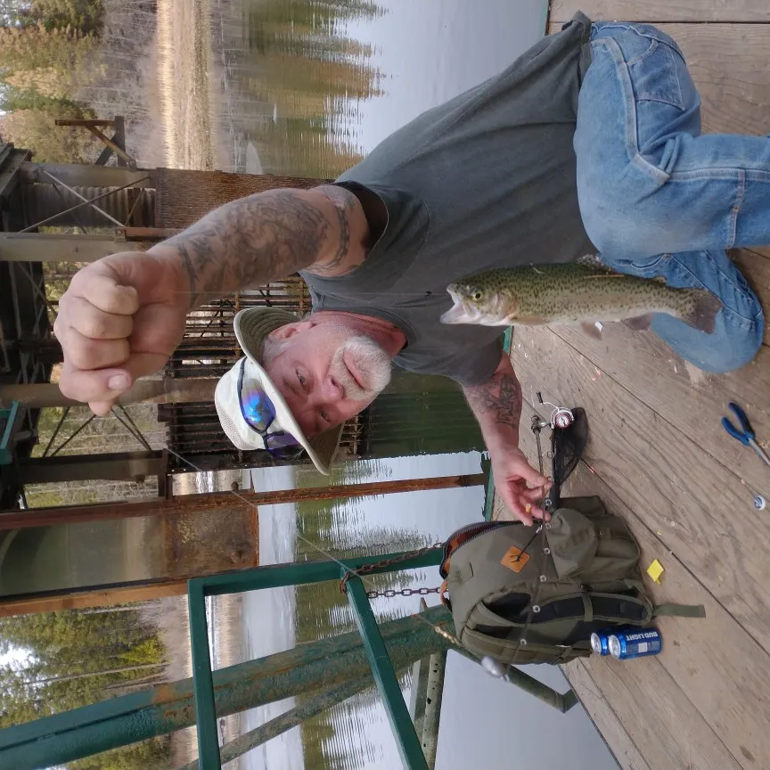 angler catch