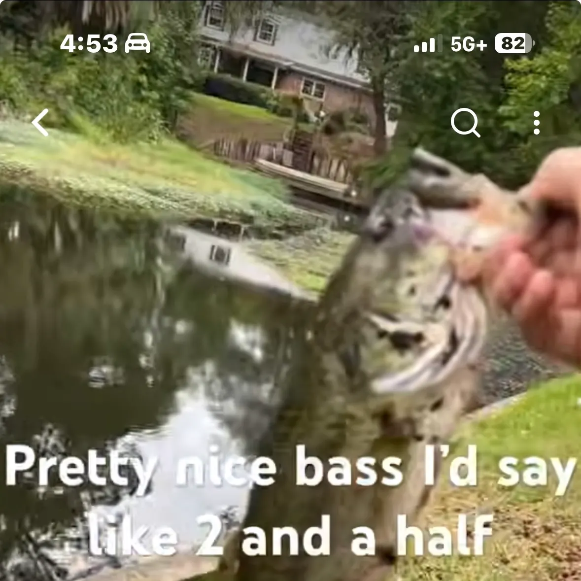 recently logged catches