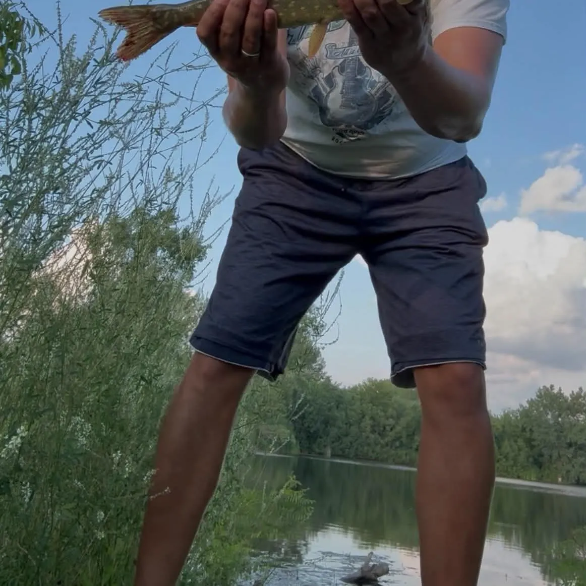 Northern pike caught on Fishbrain