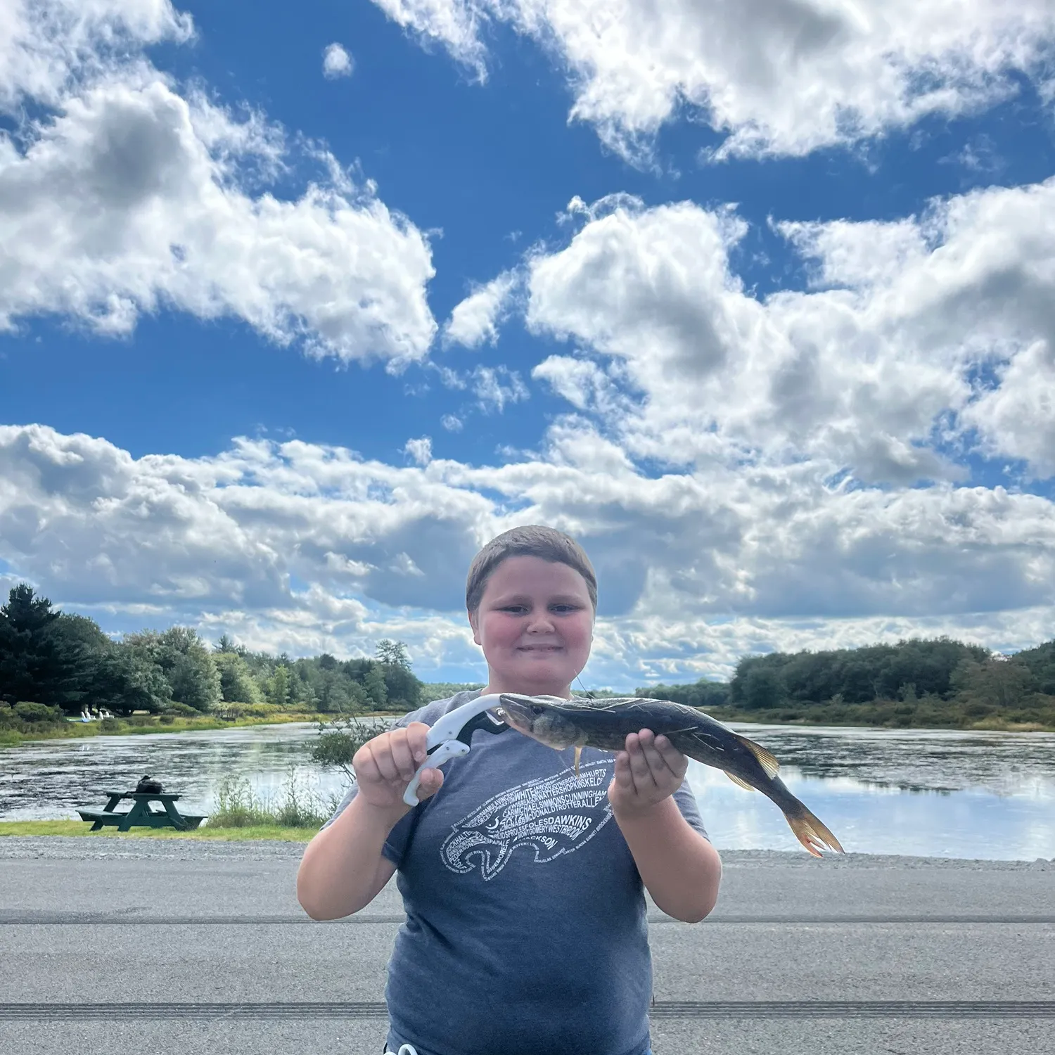 Chain pickerel caught on Fishbrain