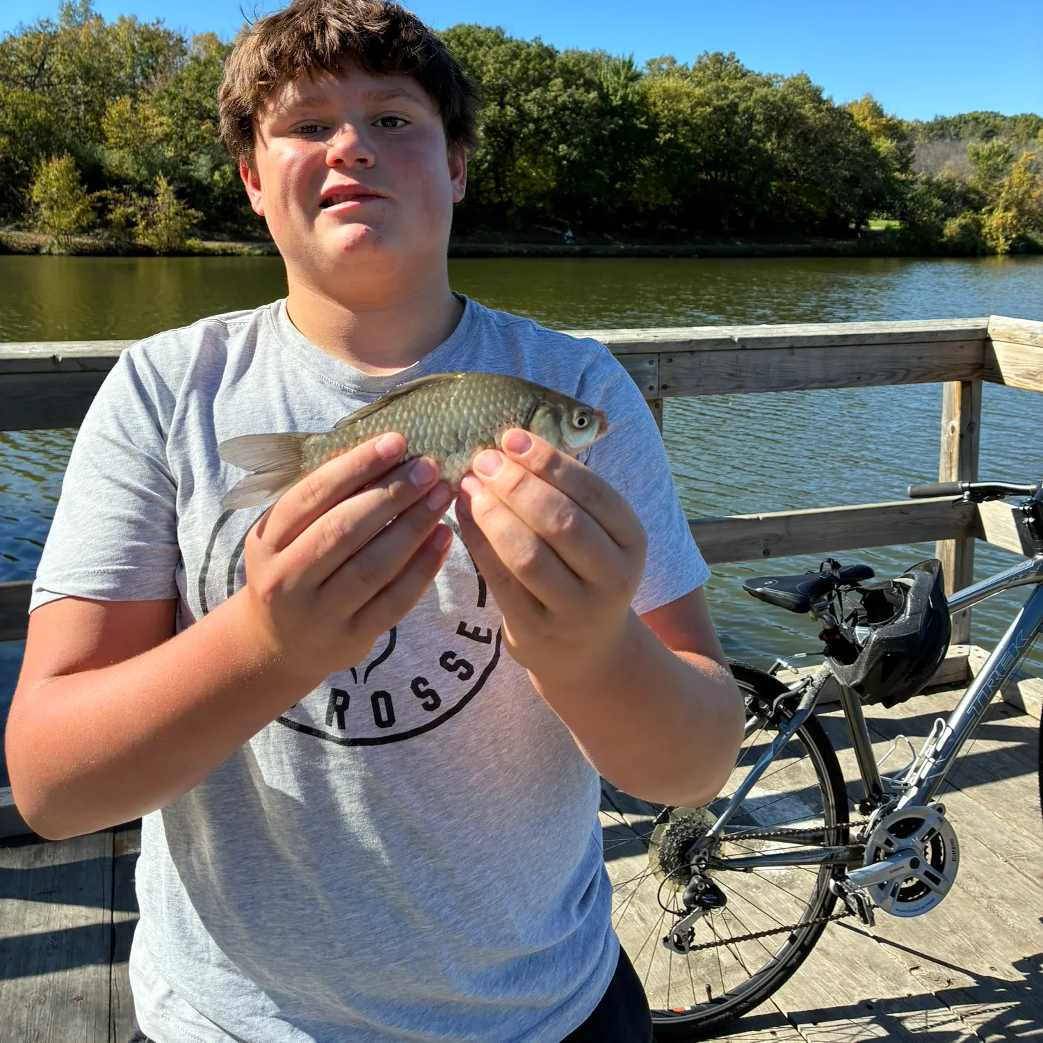The most recent F1 carp catches on Fishbrain