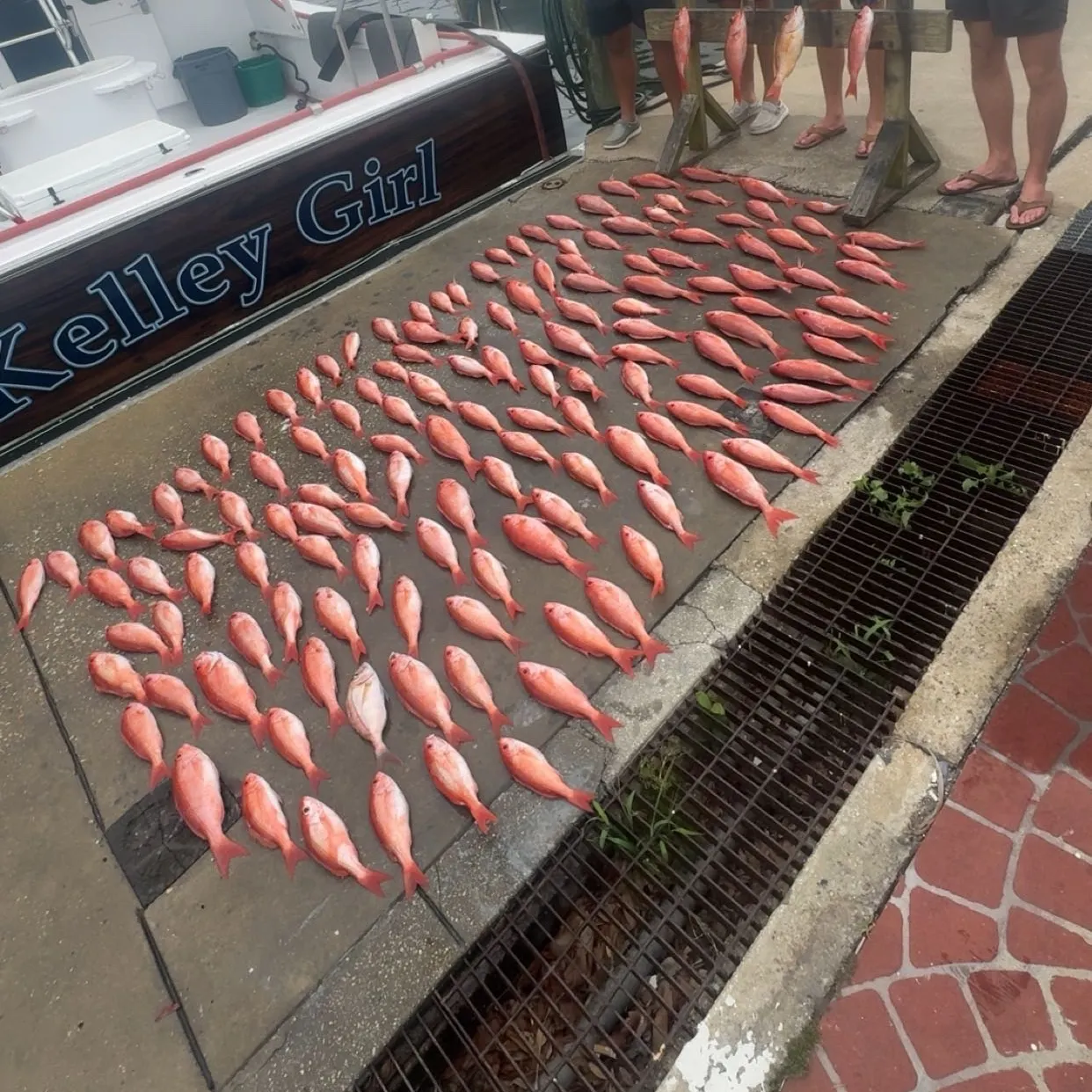 recently logged catches