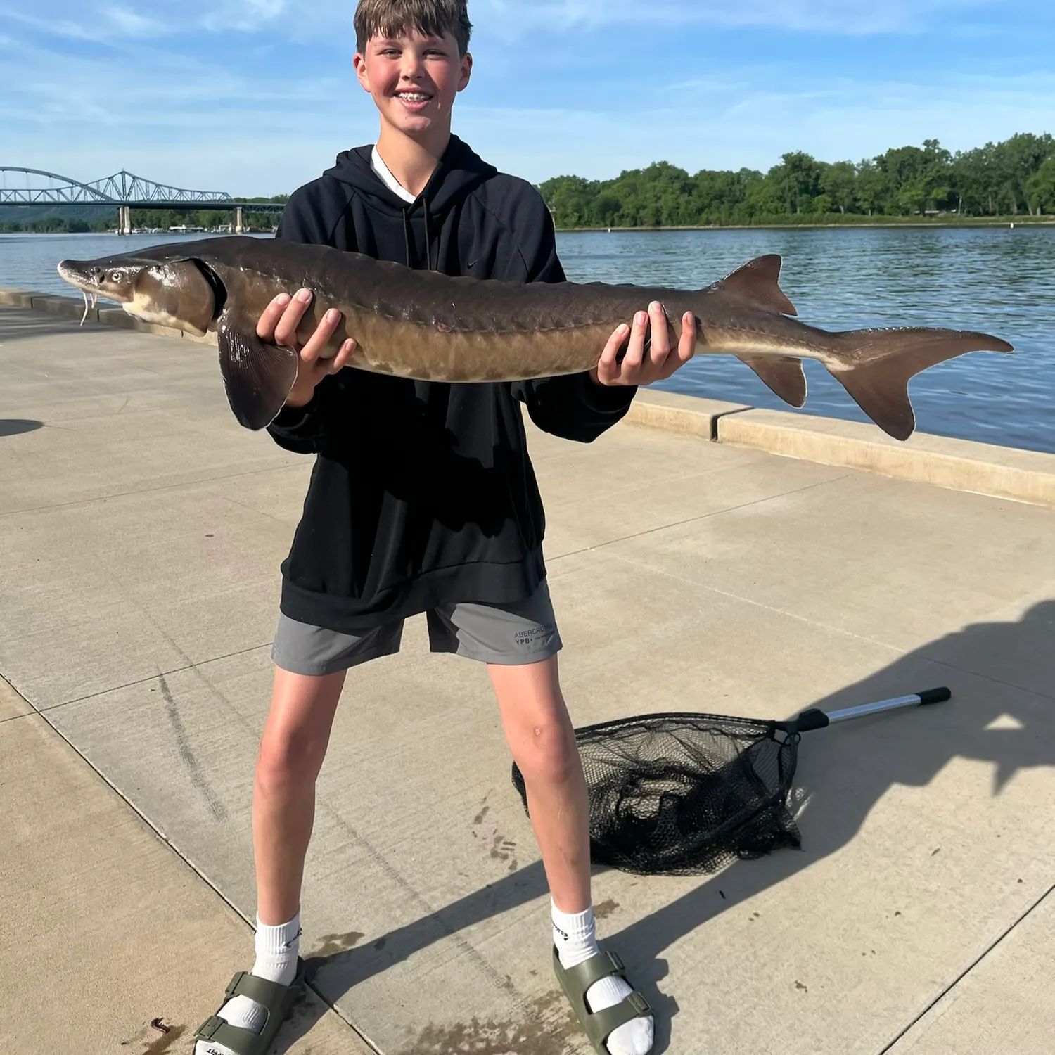 The most recent Lake sturgeon catches on Fishbrain