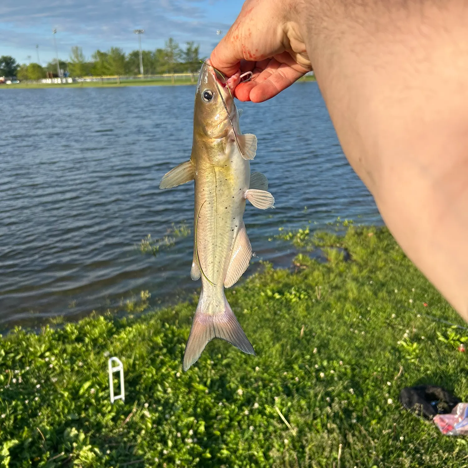 catch