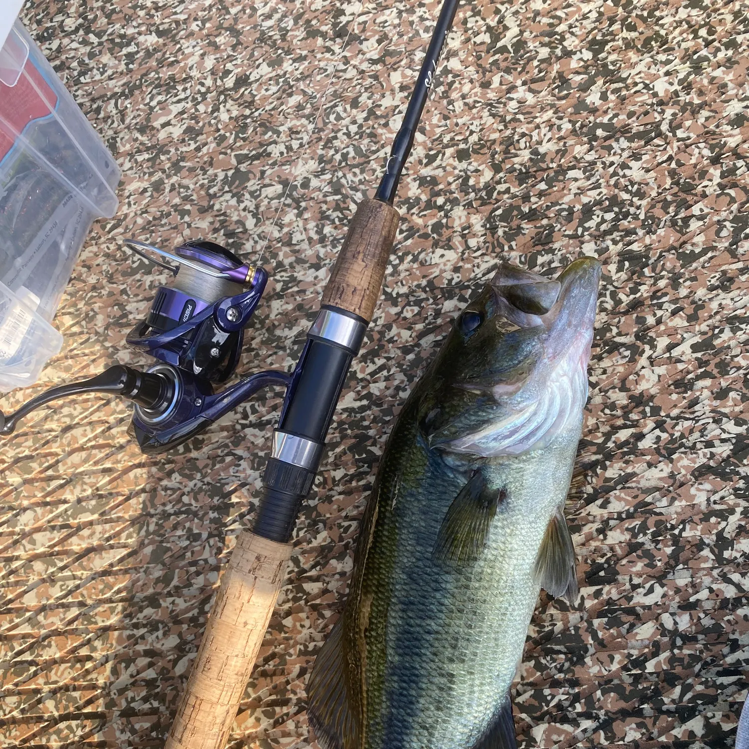 Largemouth bass caught on Fishbrain