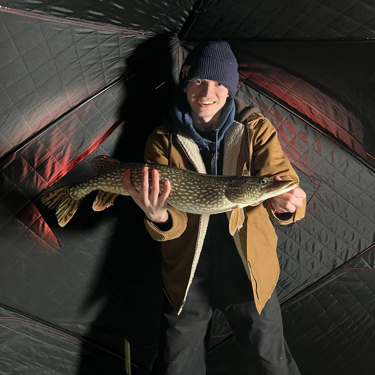 The most recent Northern pike catches on Fishbrain
