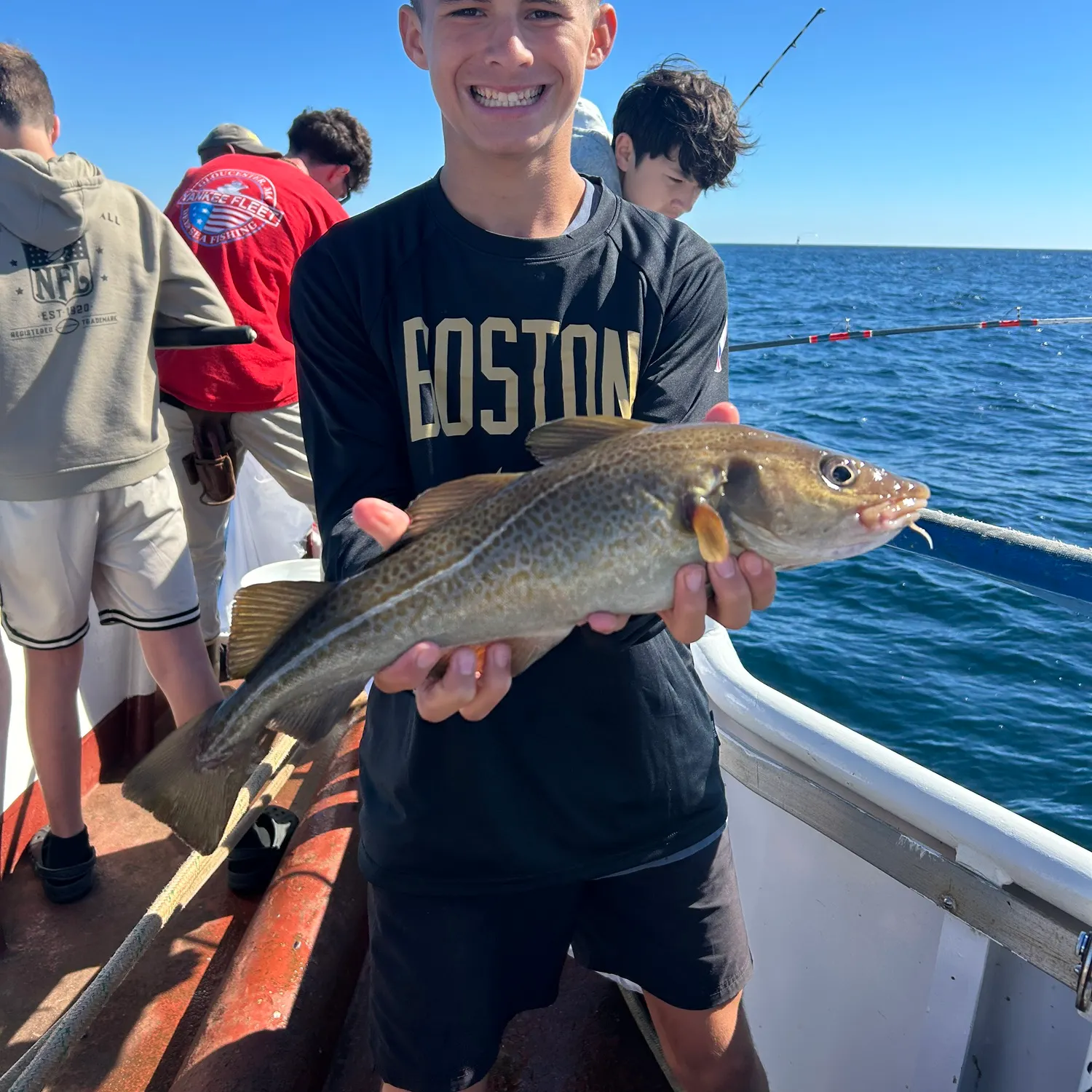 Atlantic cod caught on Fishbrain