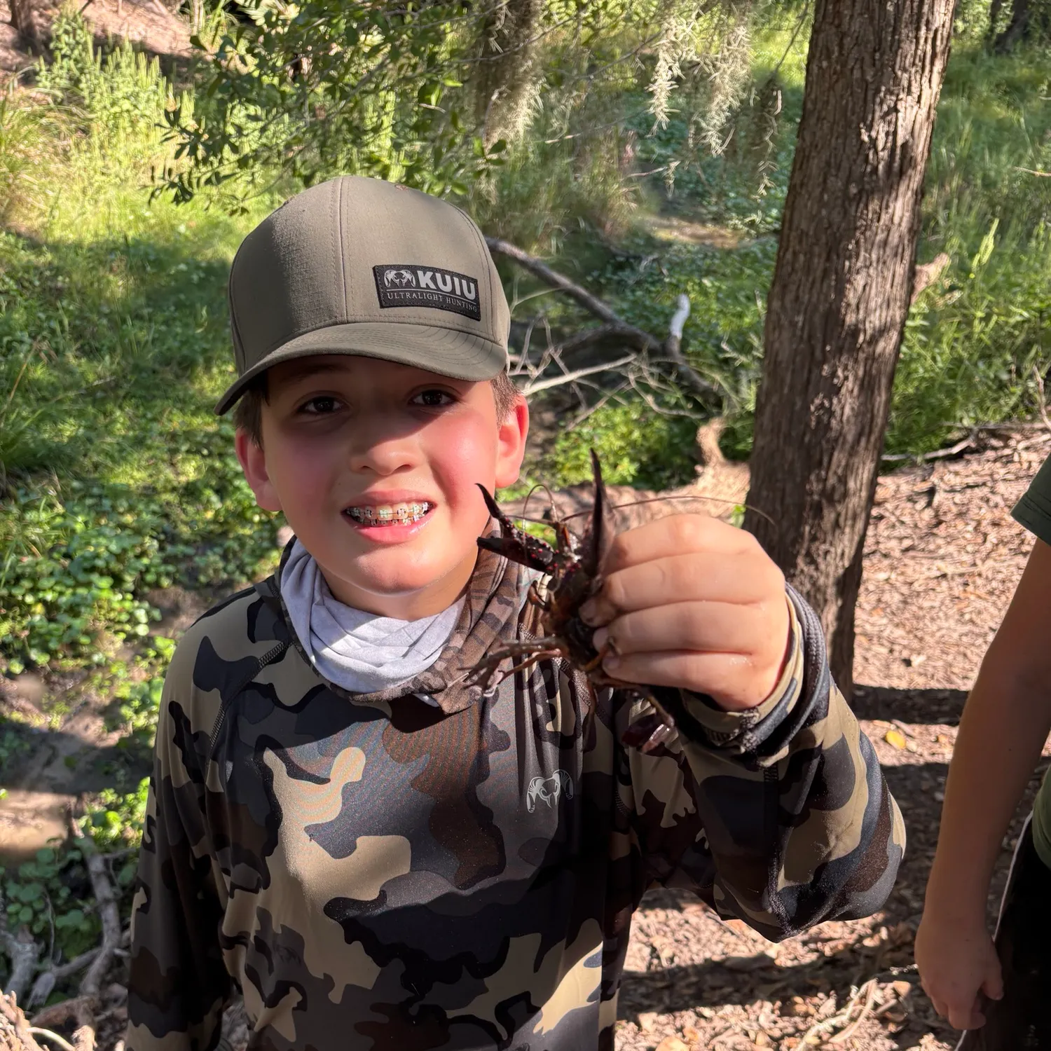 Red swamp crayfish caught on Fishbrain