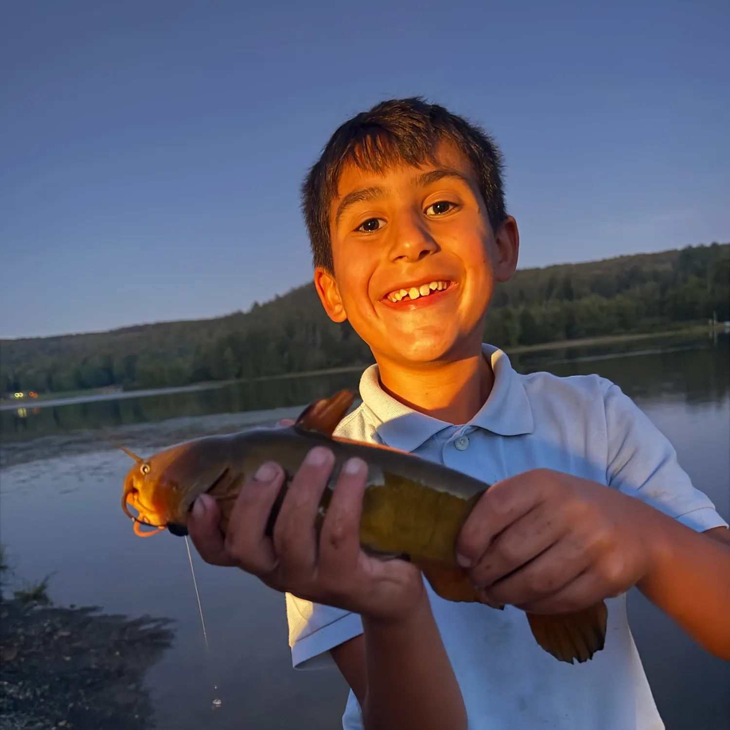 Black bullhead caught on Fishbrain