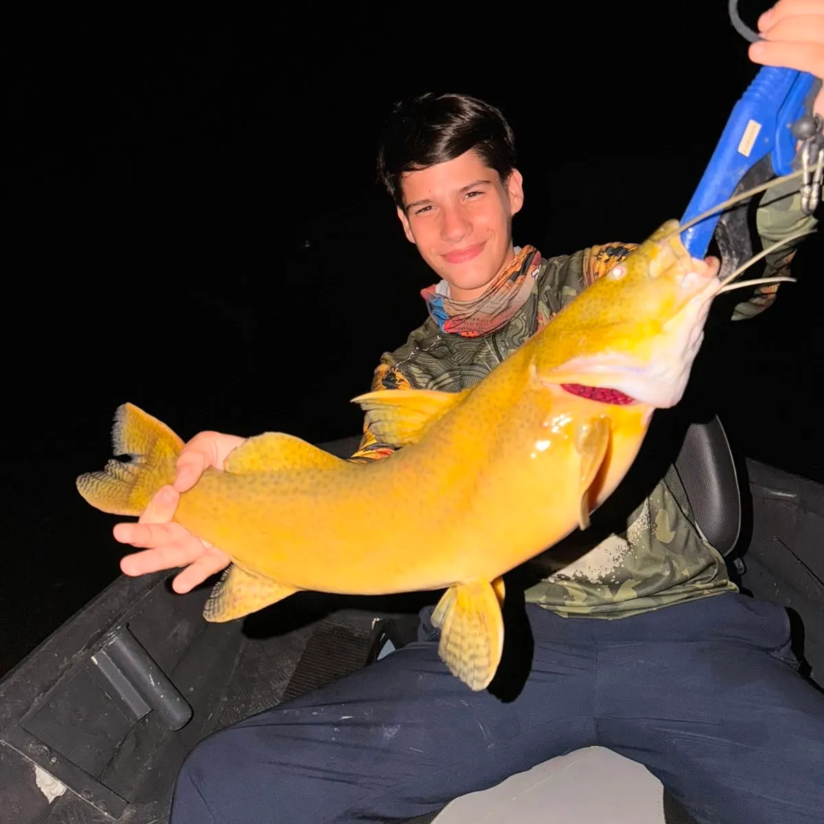 The most recent Gilded catfish catches on Fishbrain