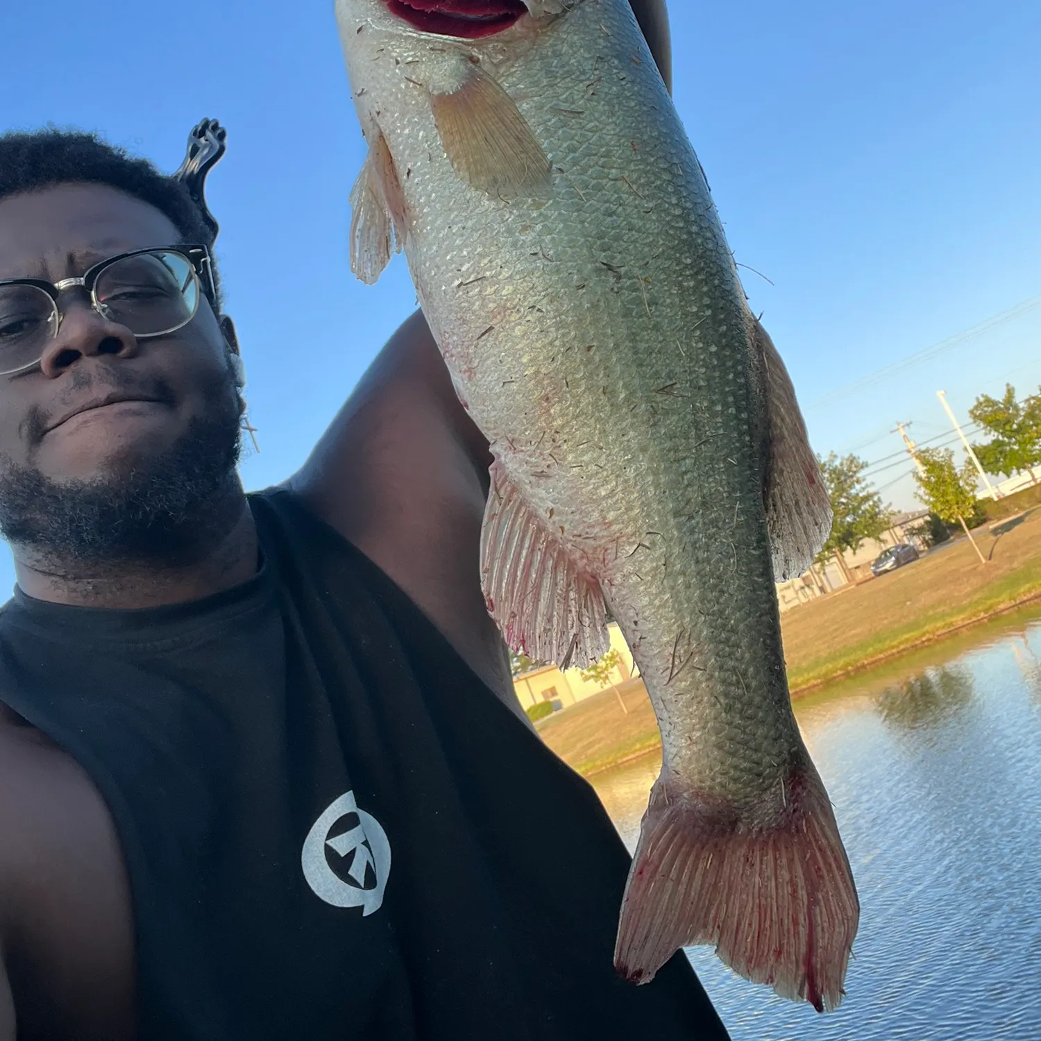 Largemouth bass caught on Fishbrain