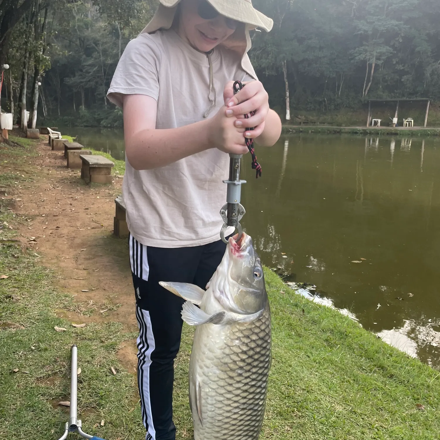 Common carp caught on Fishbrain