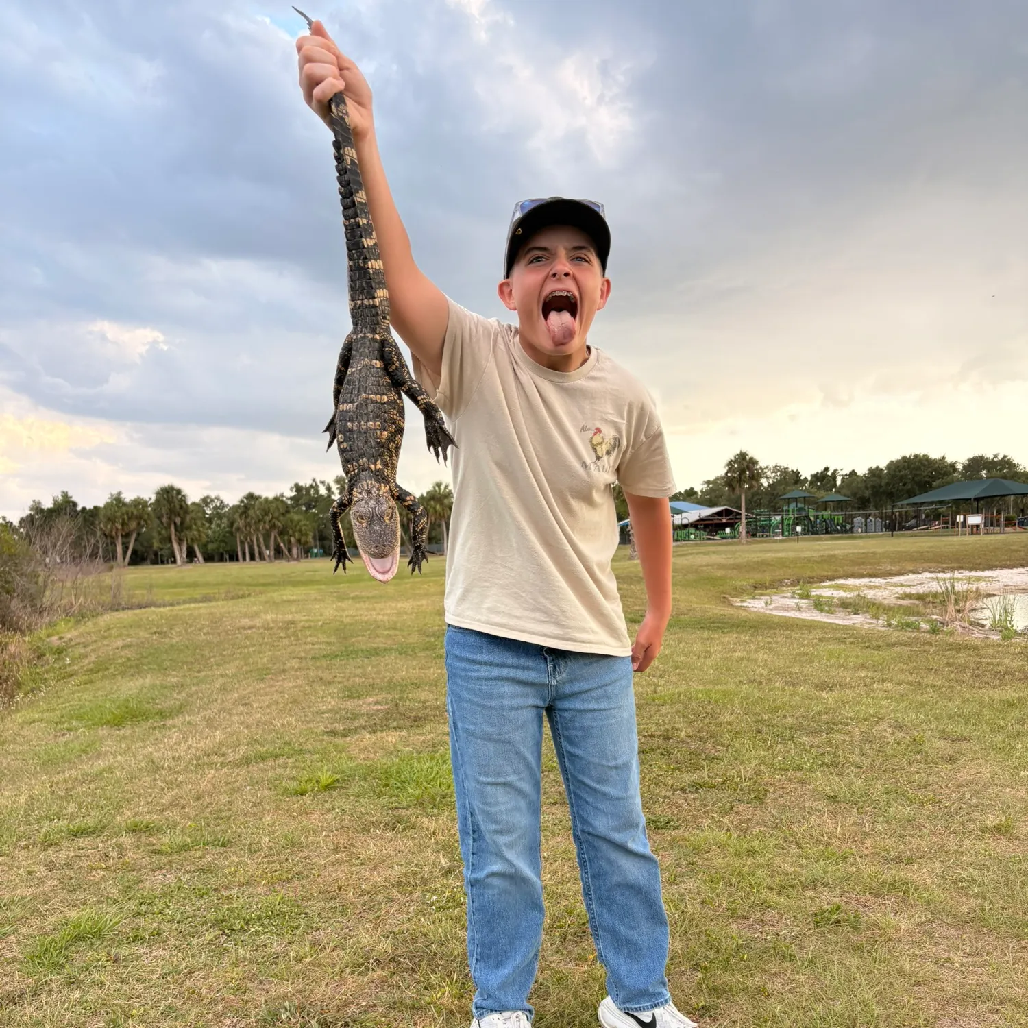 The most recent Grass pickerel catches on Fishbrain