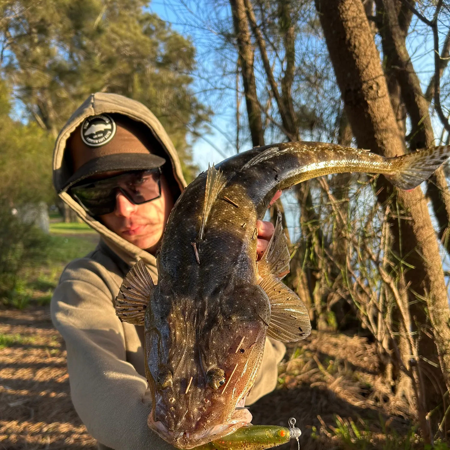 The most popular recent Dusky flathead catch on Fishbrain