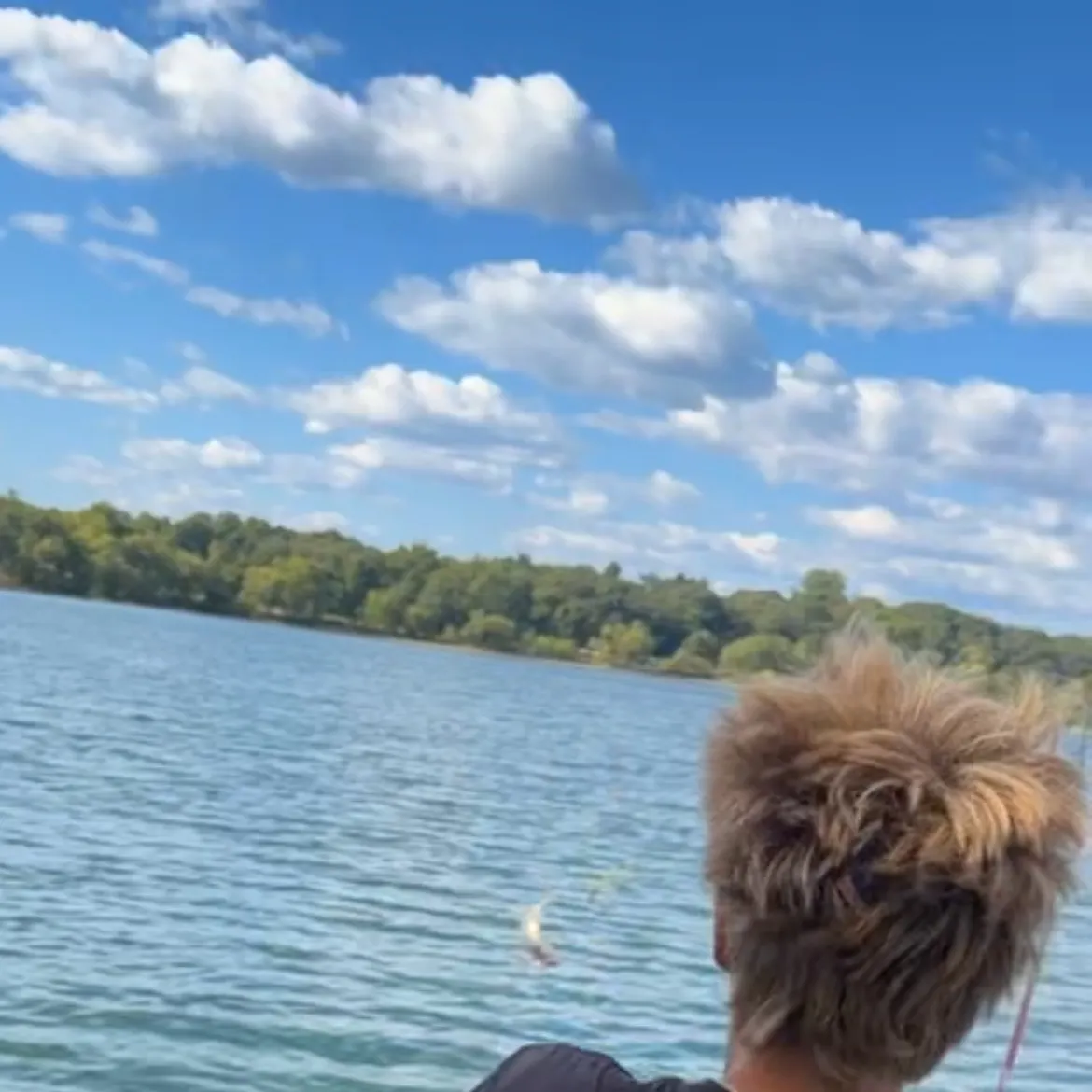 Rainbow trout caught on Fishbrain