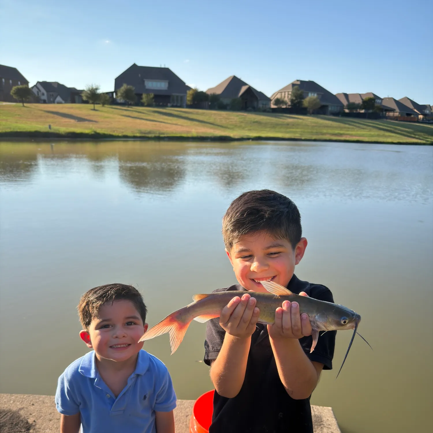 Channel catfish caught on Fishbrain