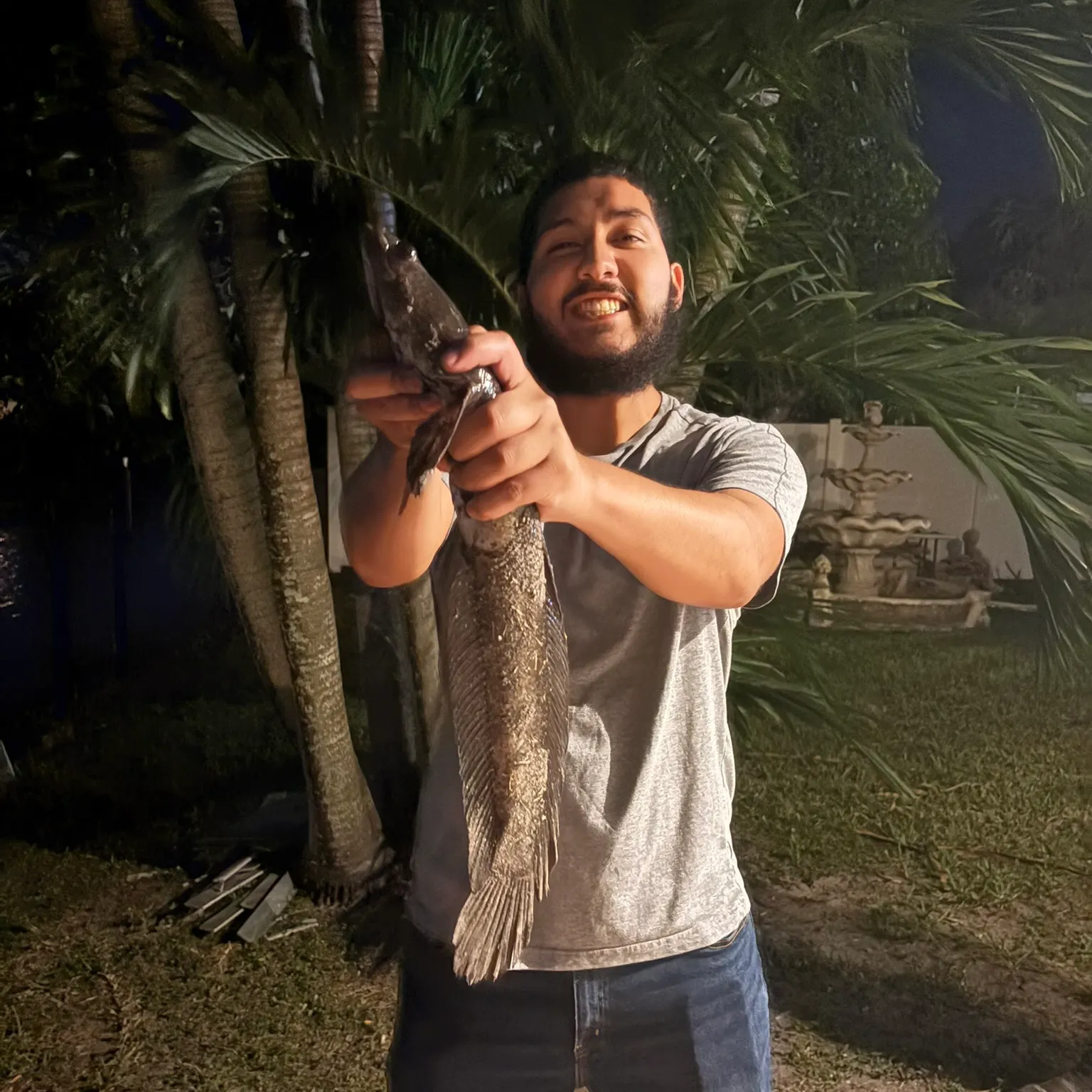 The most recent Bullseye snakehead catches on Fishbrain