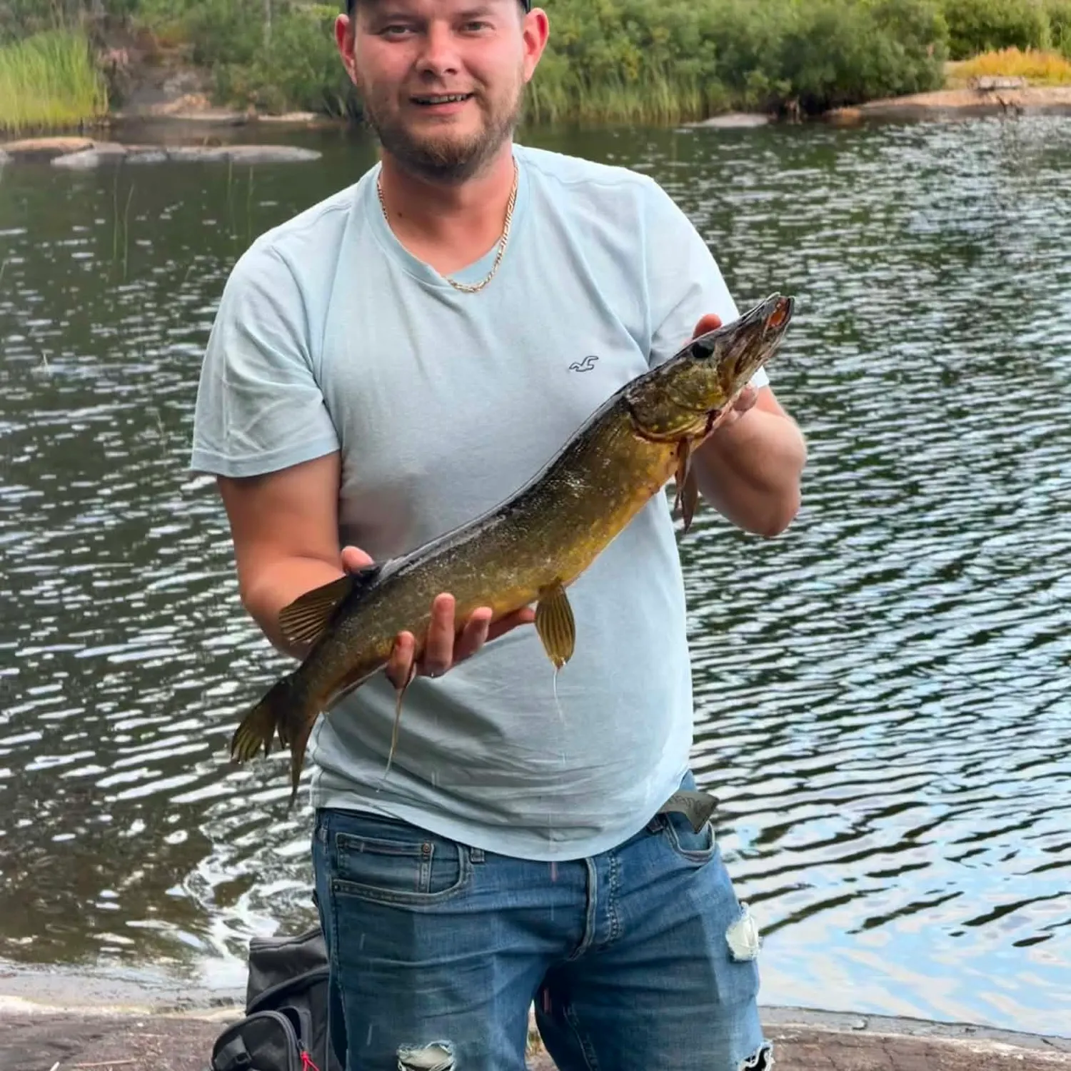 Northern pike caught on Fishbrain