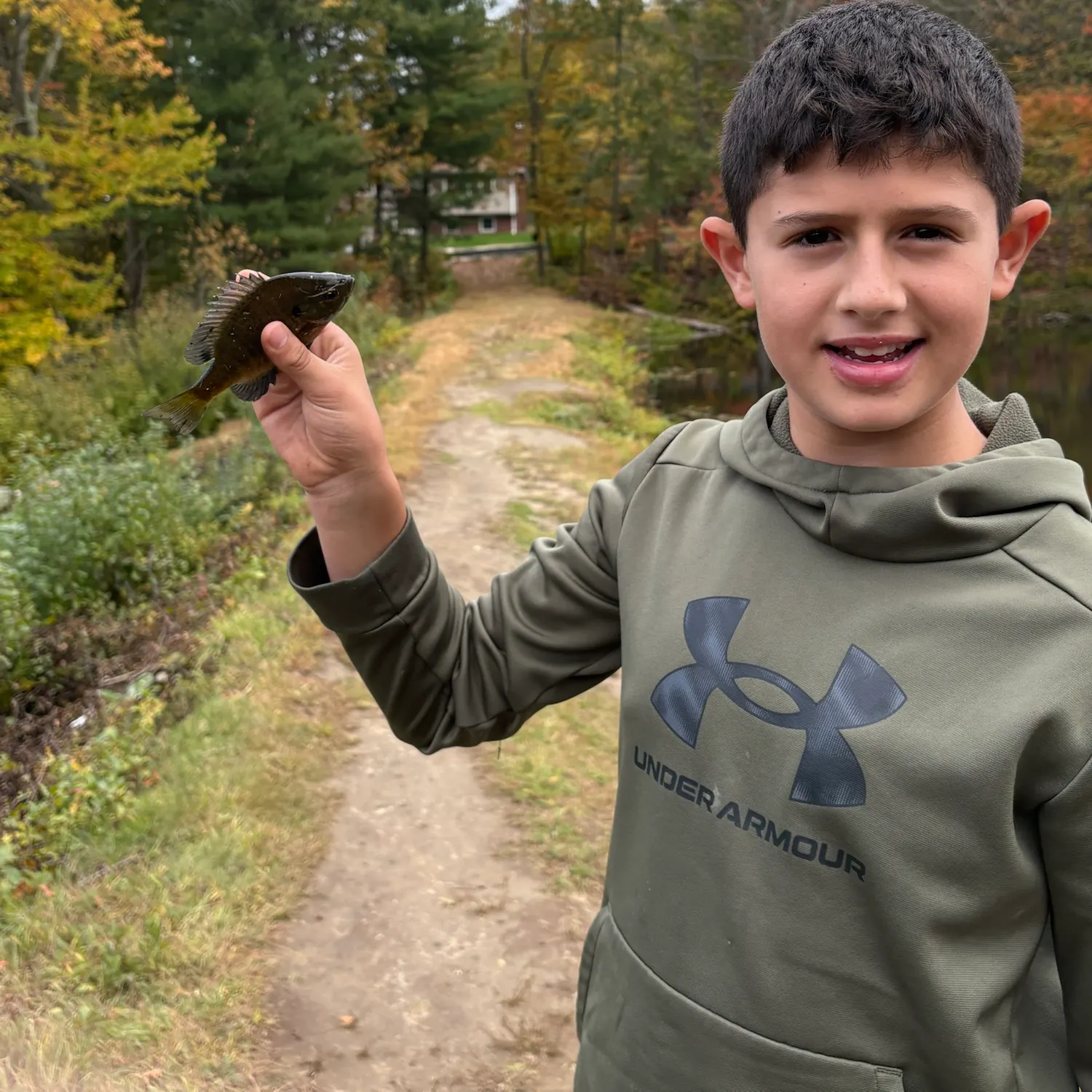 Bluegill caught on Fishbrain