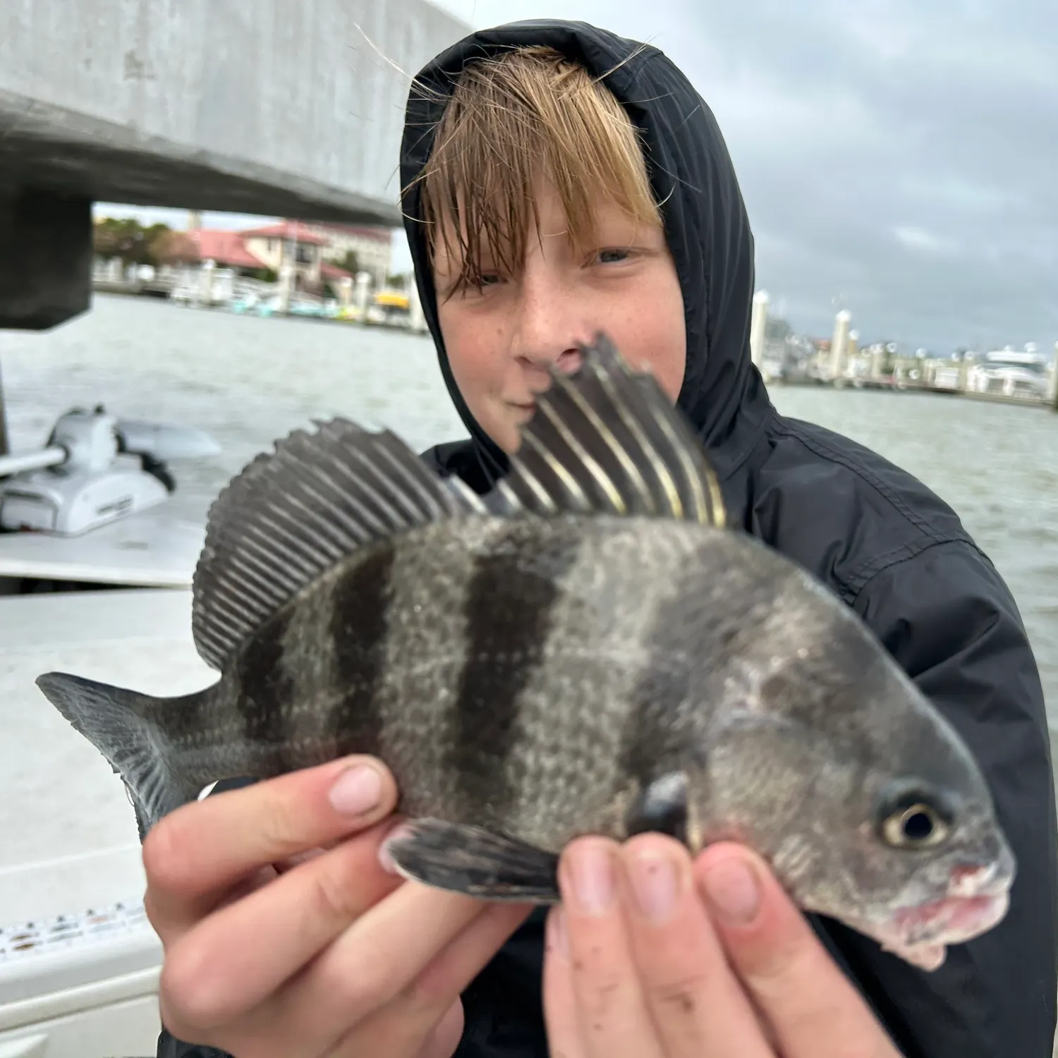 The most recent Black drum catches on Fishbrain