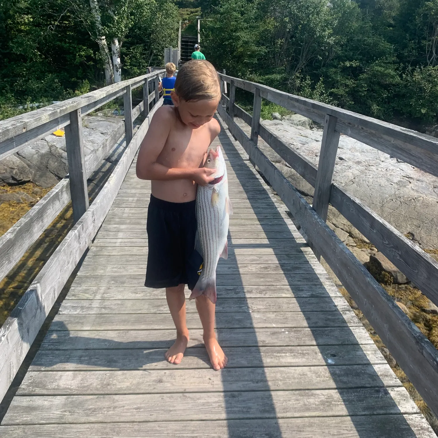 Striped bass caught on Fishbrain