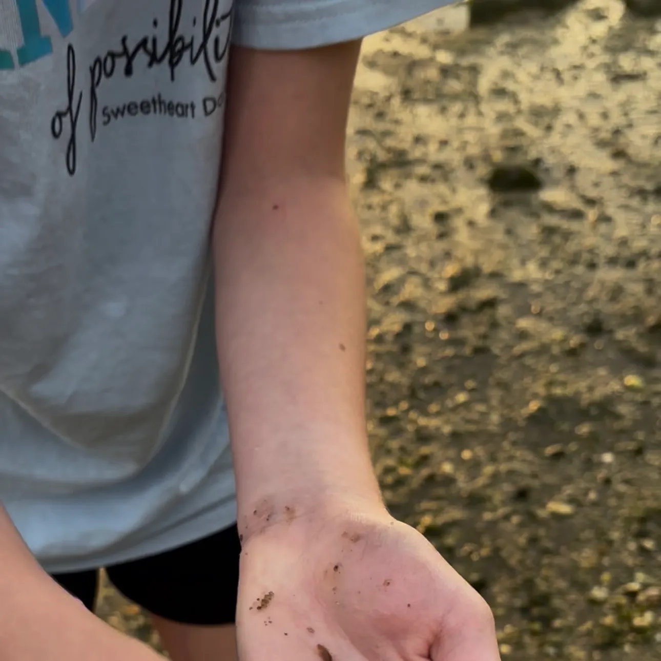 American eel caught on Fishbrain