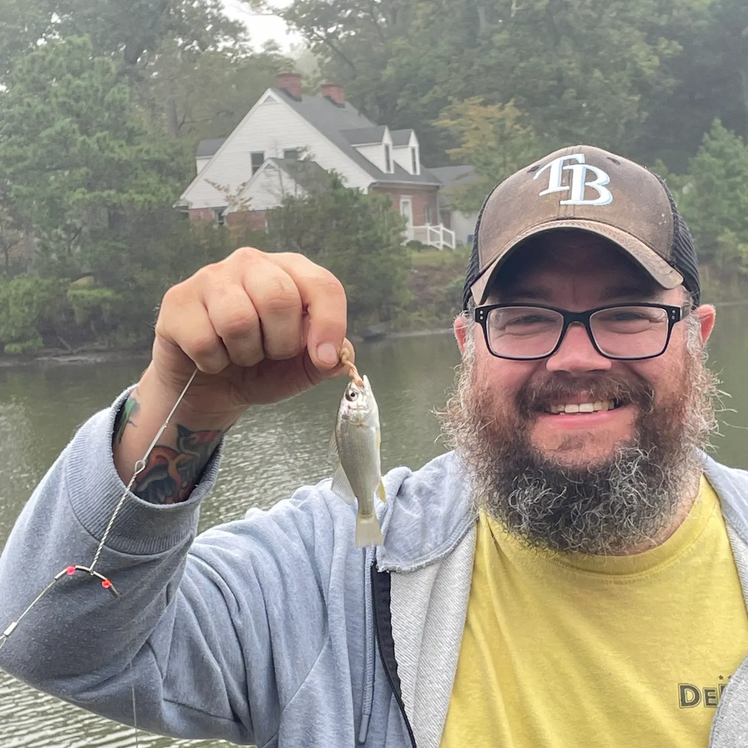 The most recent Scaled herring catches on Fishbrain