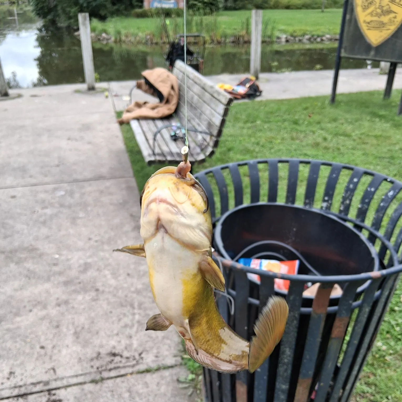 catch