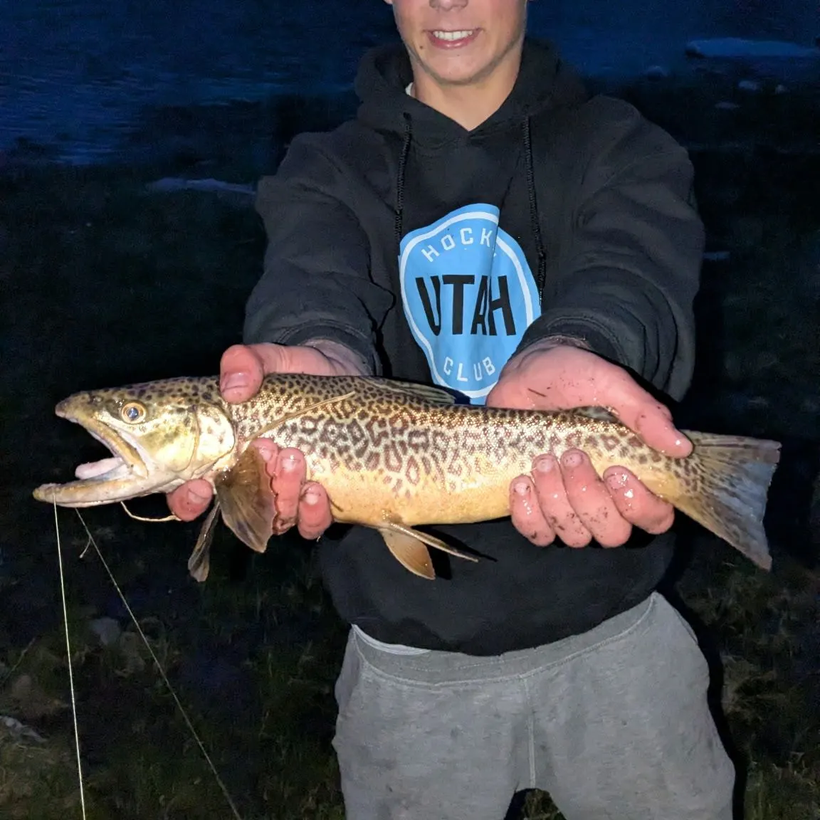 most liked catch image
