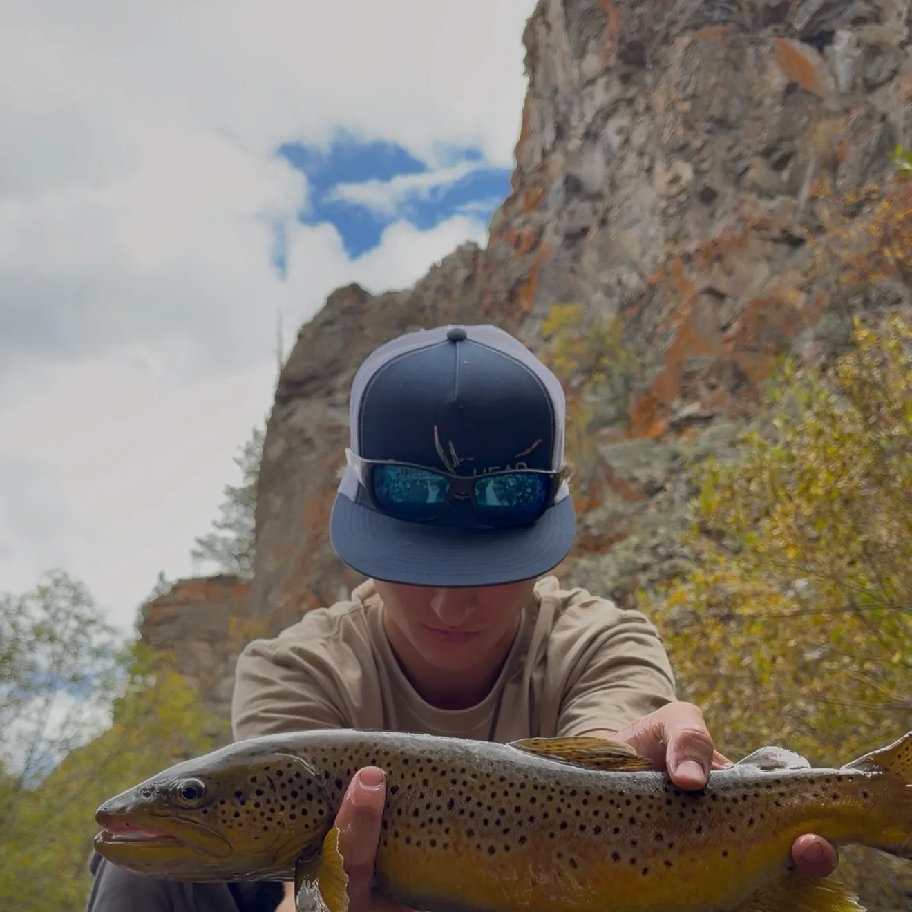 Brown trout caught on Fishbrain