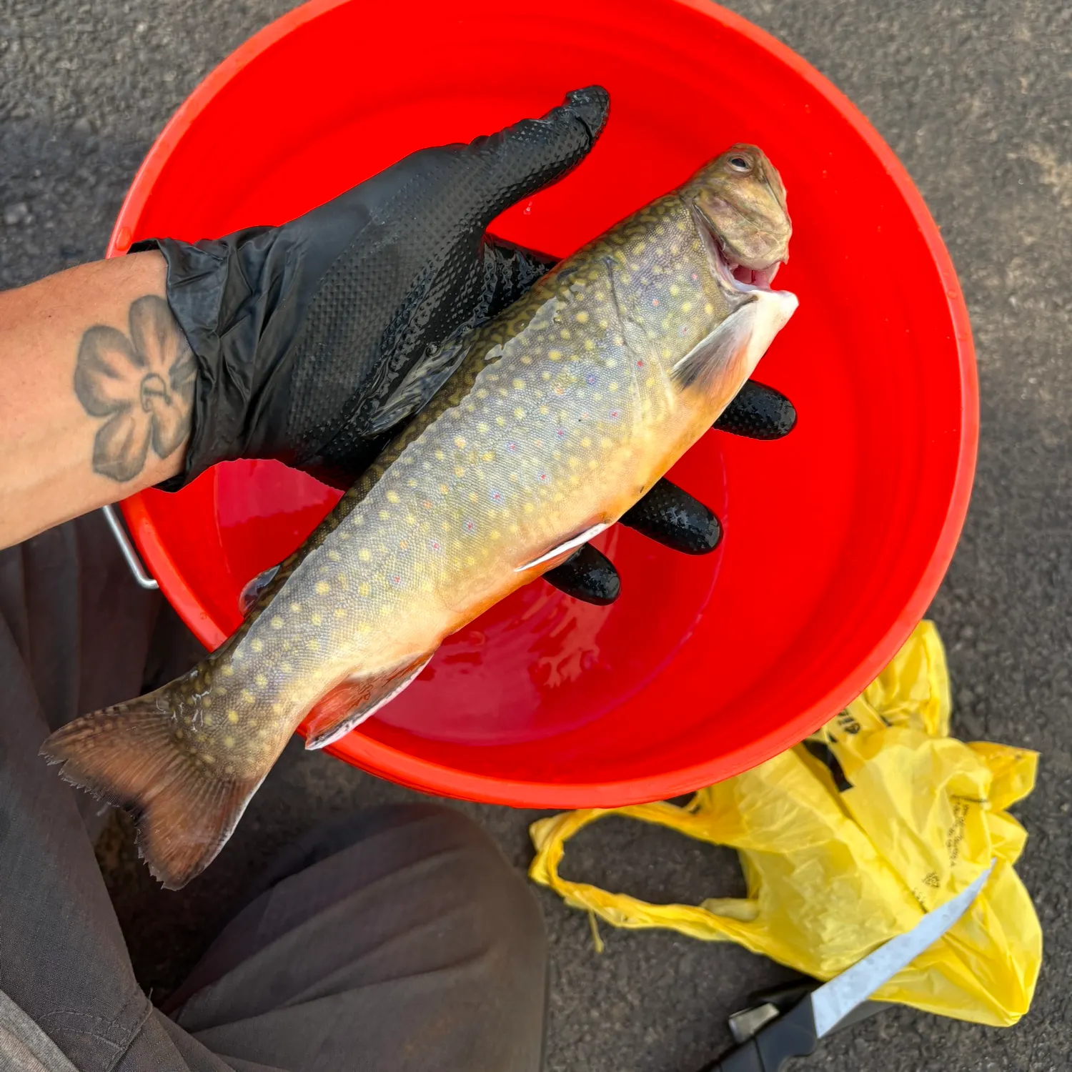 catch
