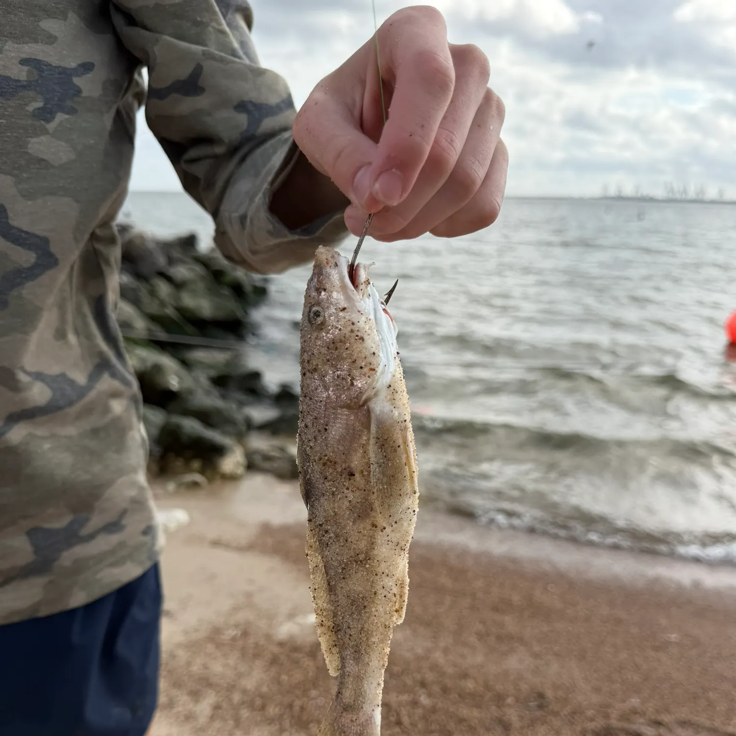 The most recent Atlantic croaker catches on Fishbrain