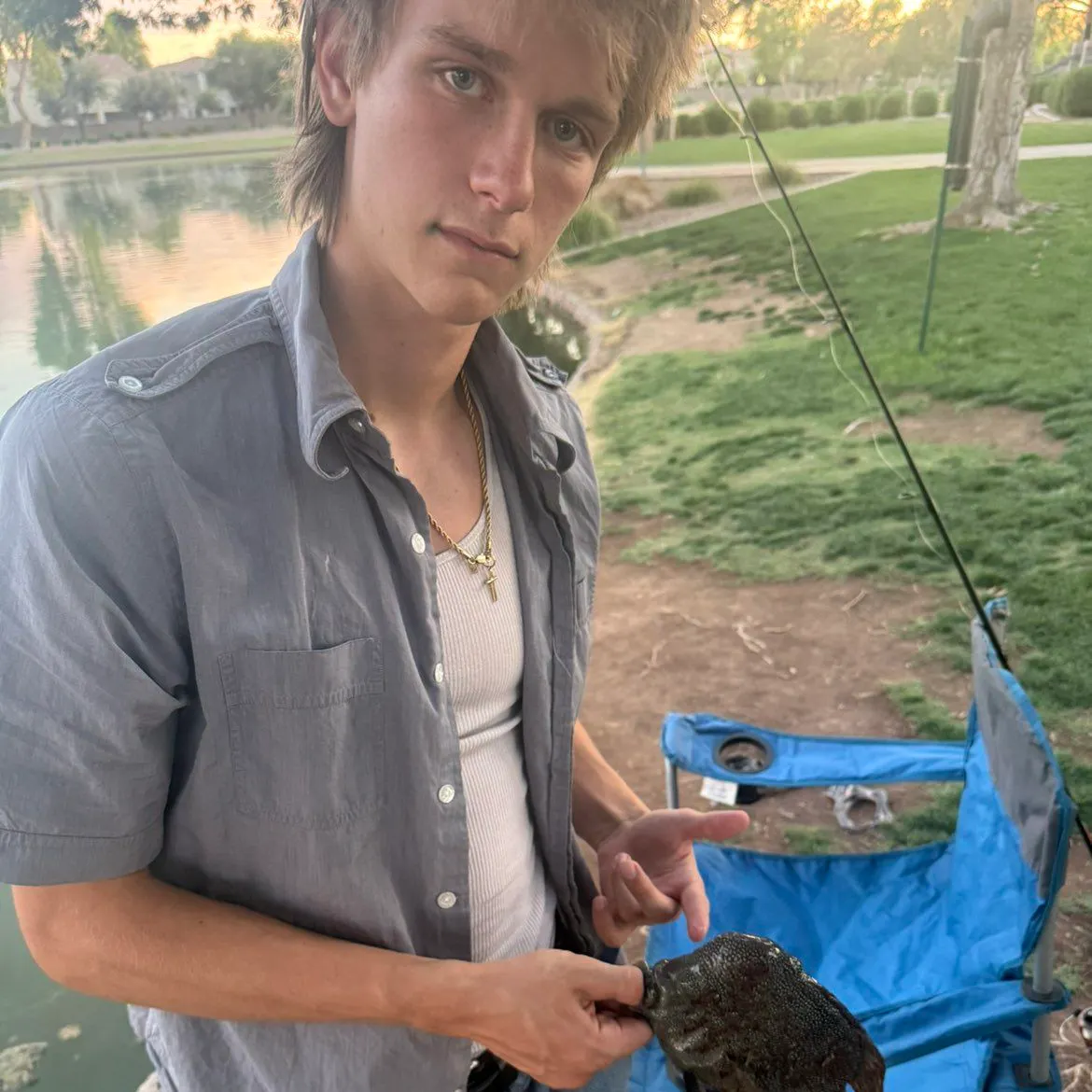 The most recent Sickle pomfret catches on Fishbrain