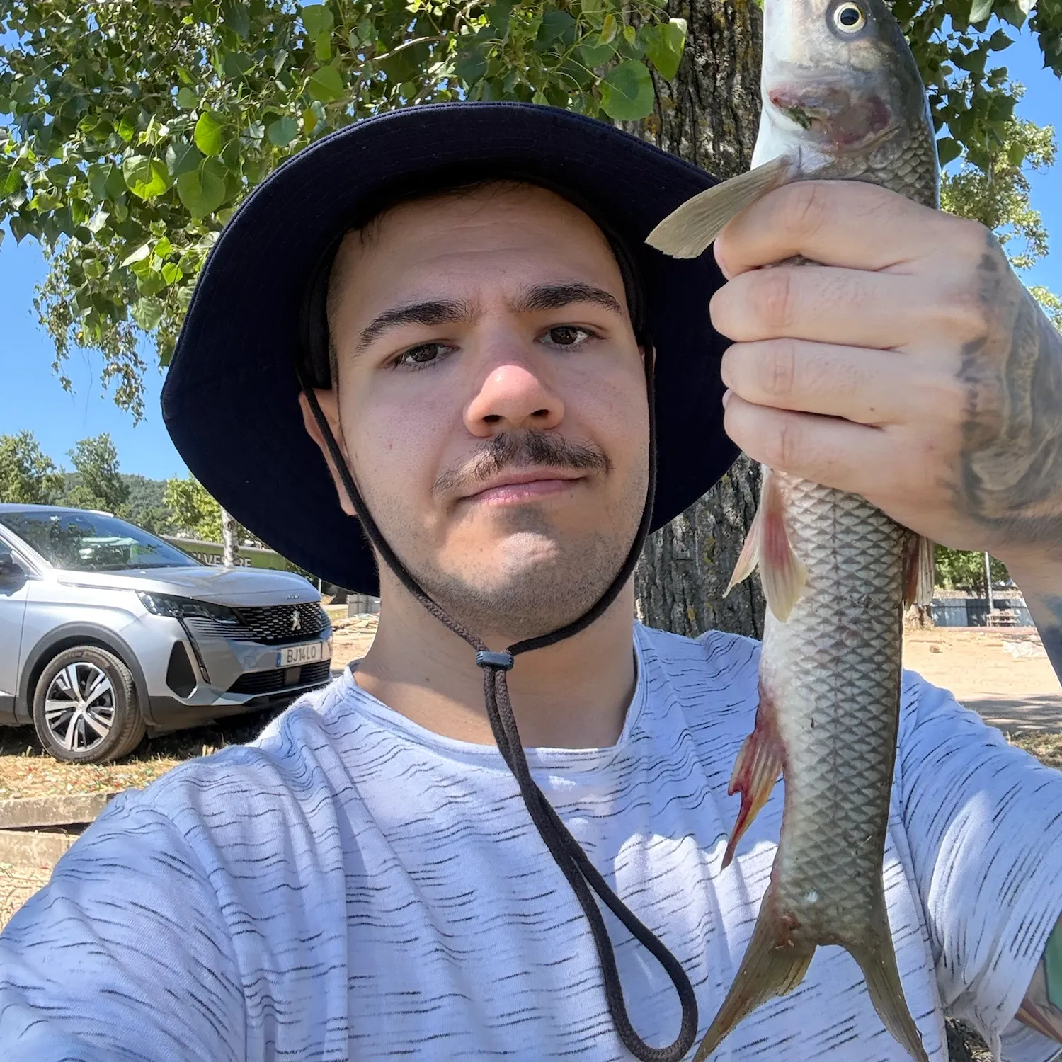 The most recent Common barbel catches on Fishbrain